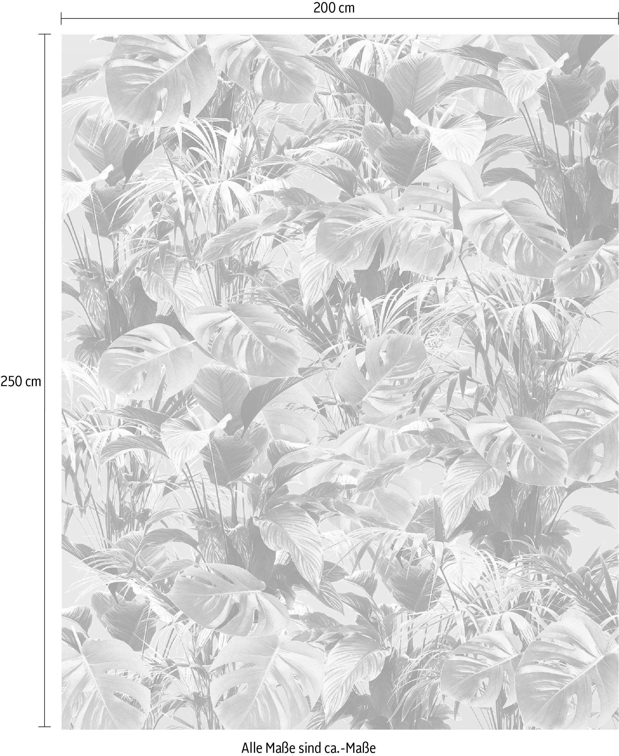 Komar Vliestapete »Digitaldruck Vlies - Evergreen - Grösse 200 x 250 cm«, bedruckt, Wohnzimmer, Schlafzimmer