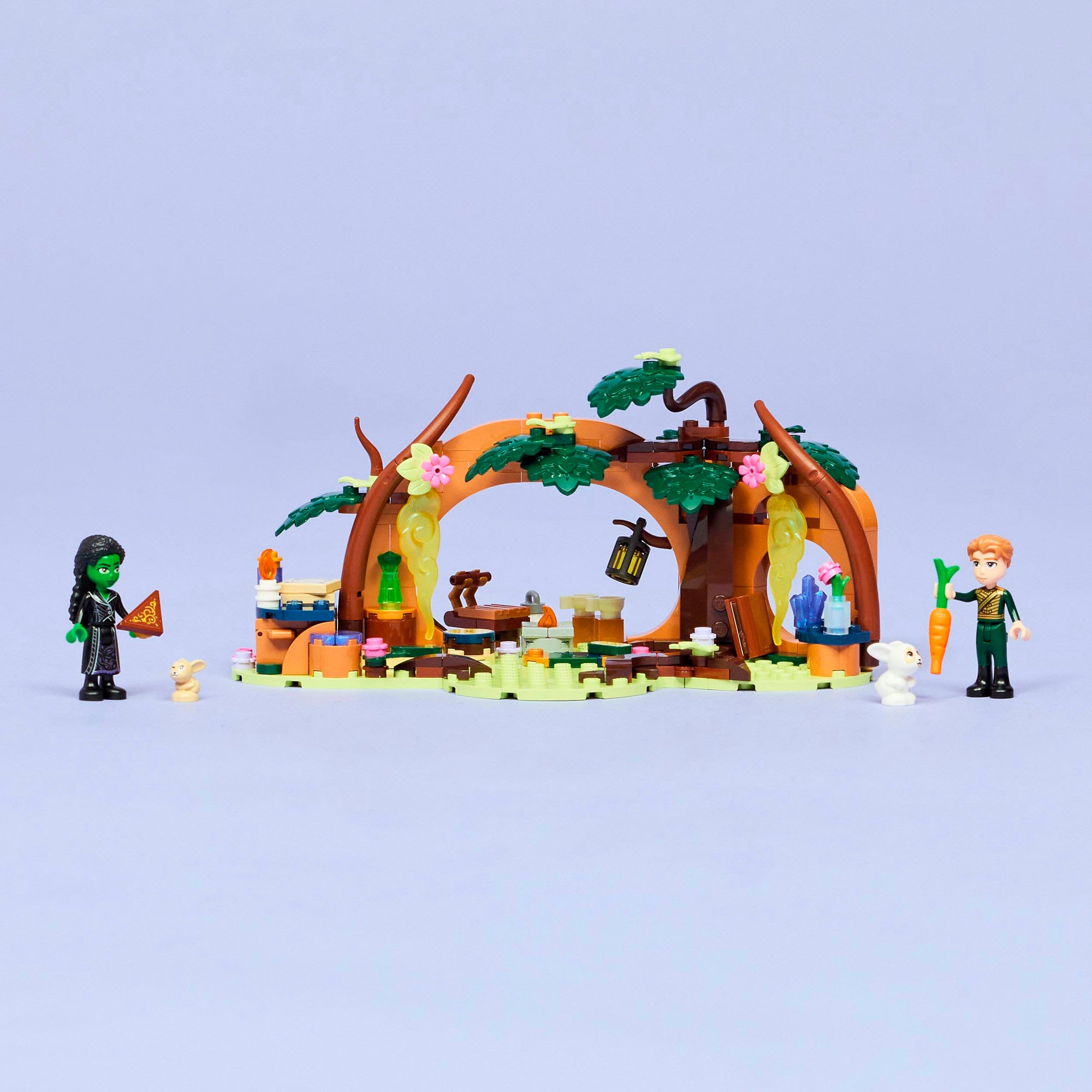 LEGO® Pions de construction »Elphabas Versteck (75687), LEGO Wicked« Made in Europe