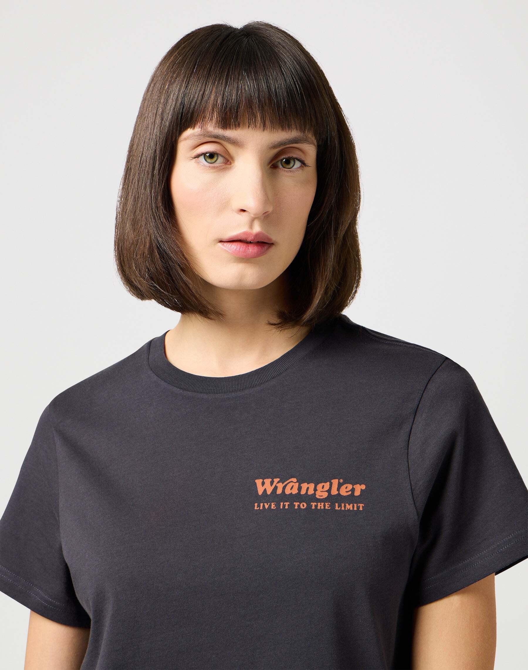 Wrangler T-Shirt »Wrangler T-Shirts Regular Tee«