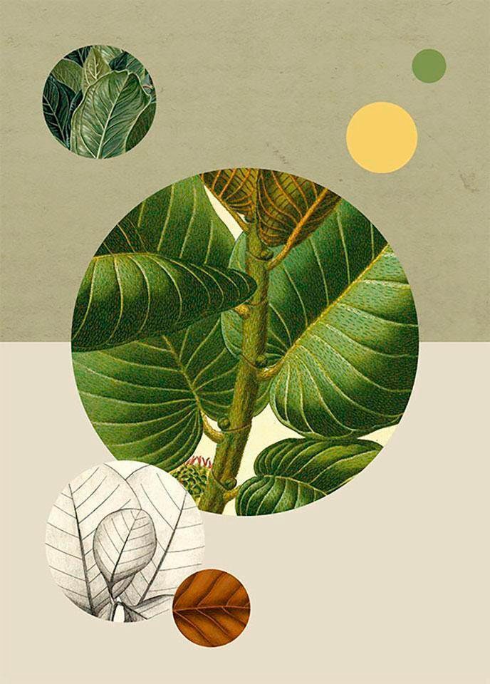 Image of Komar Bild "Green Structure" Blätter Pflanzen 1 Stk. tlg. Wandbild zur Dekoration - ohne Rahmen