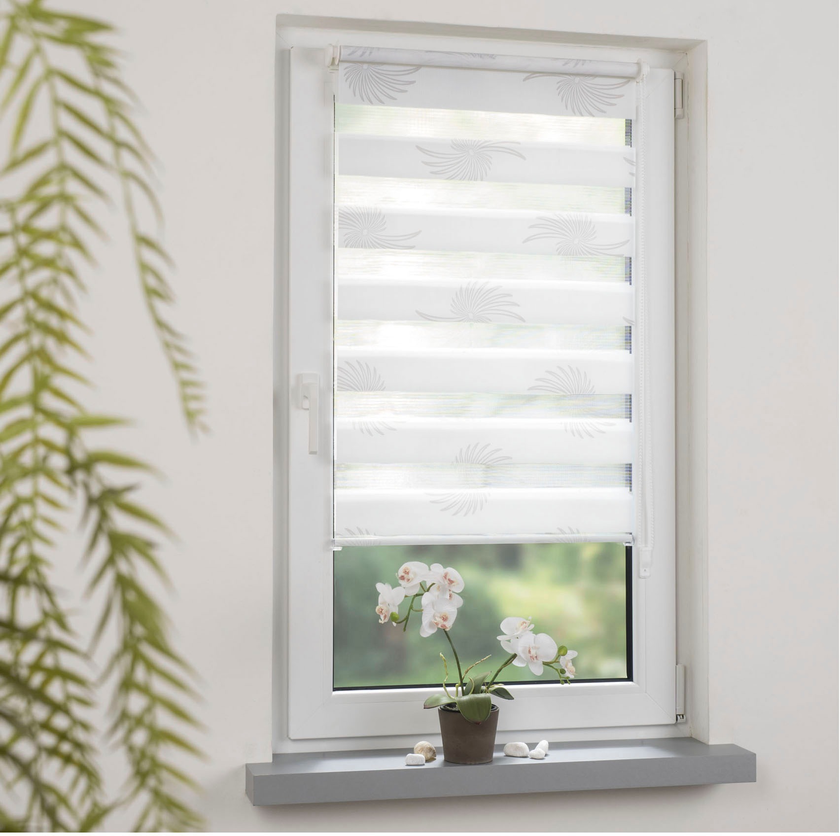 Image of Liedeco Seitenzugrollo »Aster«, Lichtschutz, ohne Bohren, freihängend, Klemmfix-DUO-Rollo, Doppelrollo "Aster" bei Ackermann Versand Schweiz