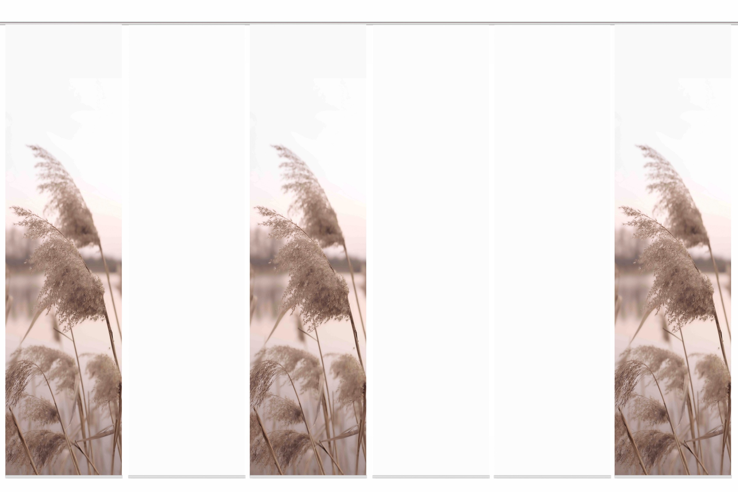 Image of HOME WOHNIDEEN Schiebegardine »TRAWY«, (6 St.), Schiebevorhang Digi 6er Set TRAWY bei Ackermann Versand Schweiz