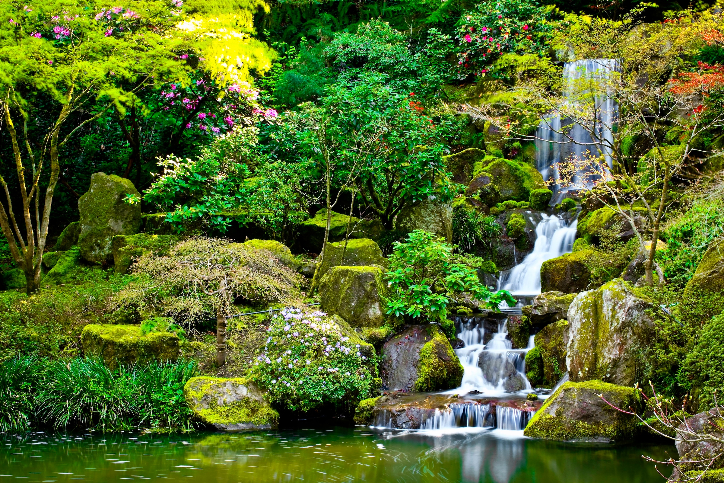 Image of Papermoon Fototapete "Garden Pond" glatt