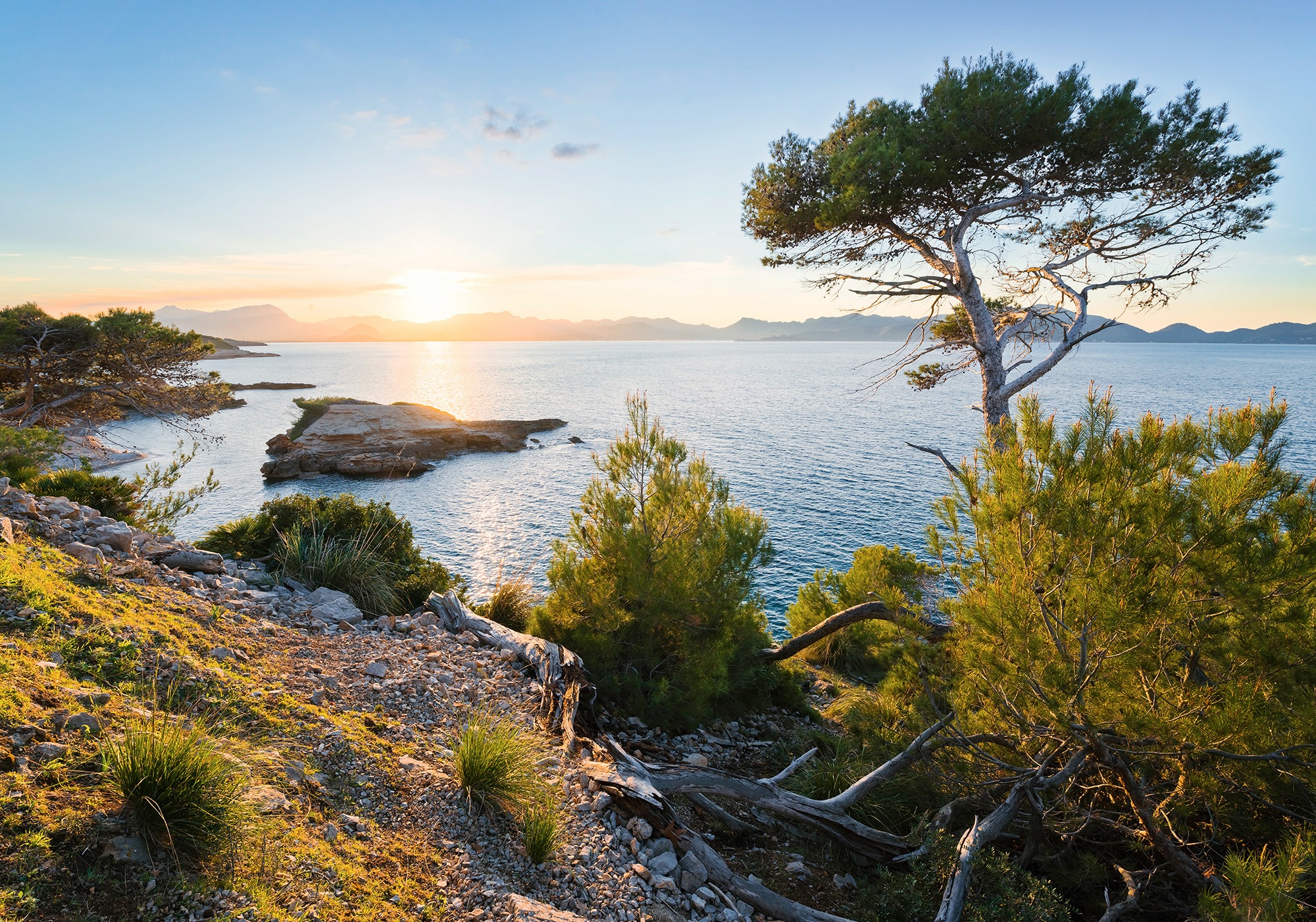 Image of Komar Fototapete »Licht des Südens«, mehrfarbig-natürlich-bedruckt bei Ackermann Versand Schweiz