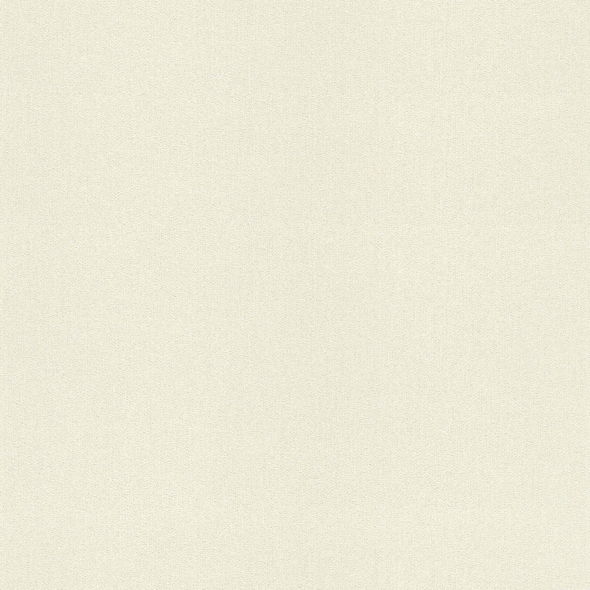 Image of freundin Home Collection Vinyltapete »Freundin III«, uni-Strukturmuster bei Ackermann Versand Schweiz