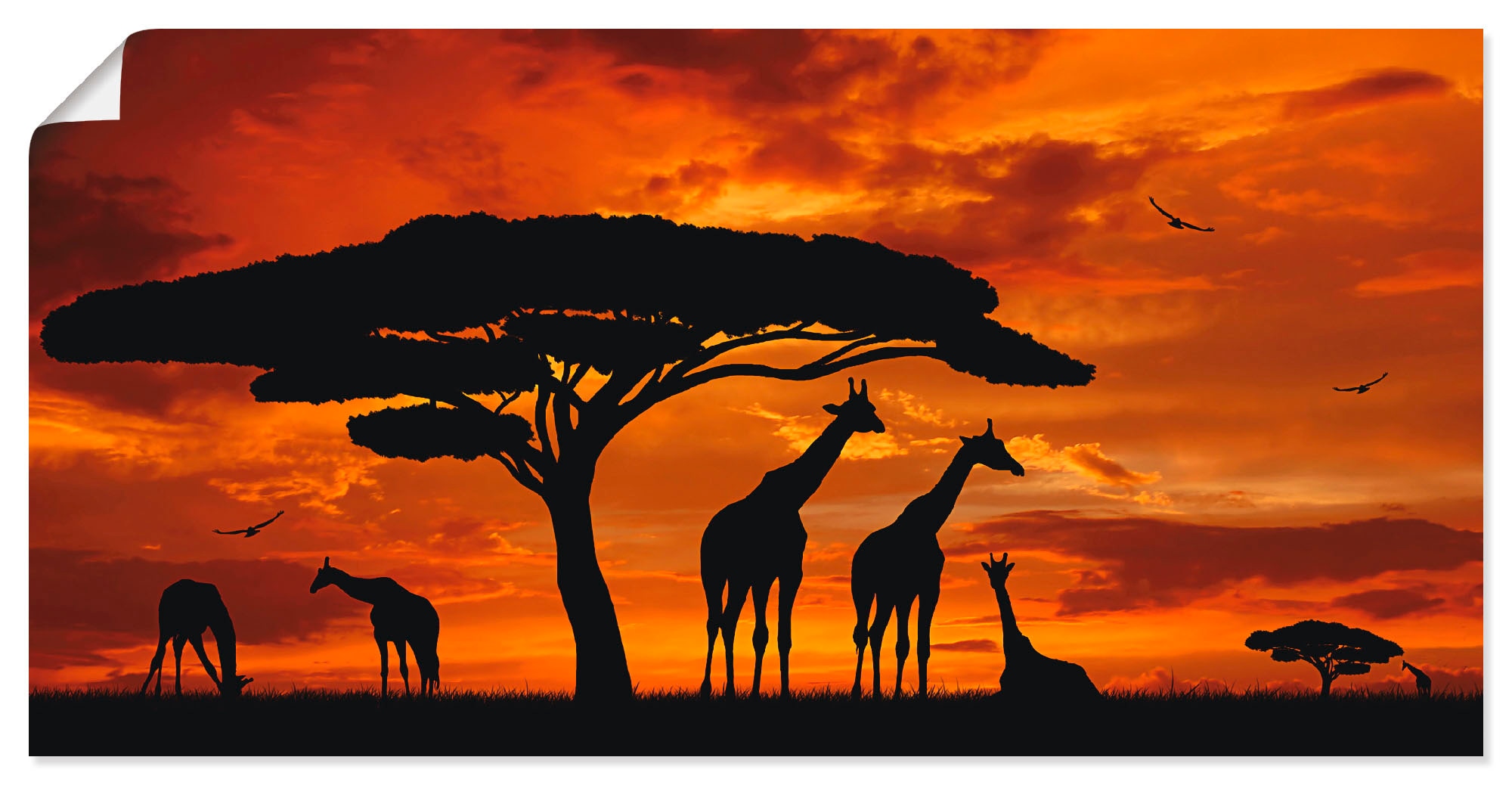 Artland Wandbild »Herde acheter von Wandaufkleber versch. confortablement Leinwandbild, in Grössen Sonnenuntergang«, im Poster als (1 St.), Wildtiere, Giraffen oder Alubild