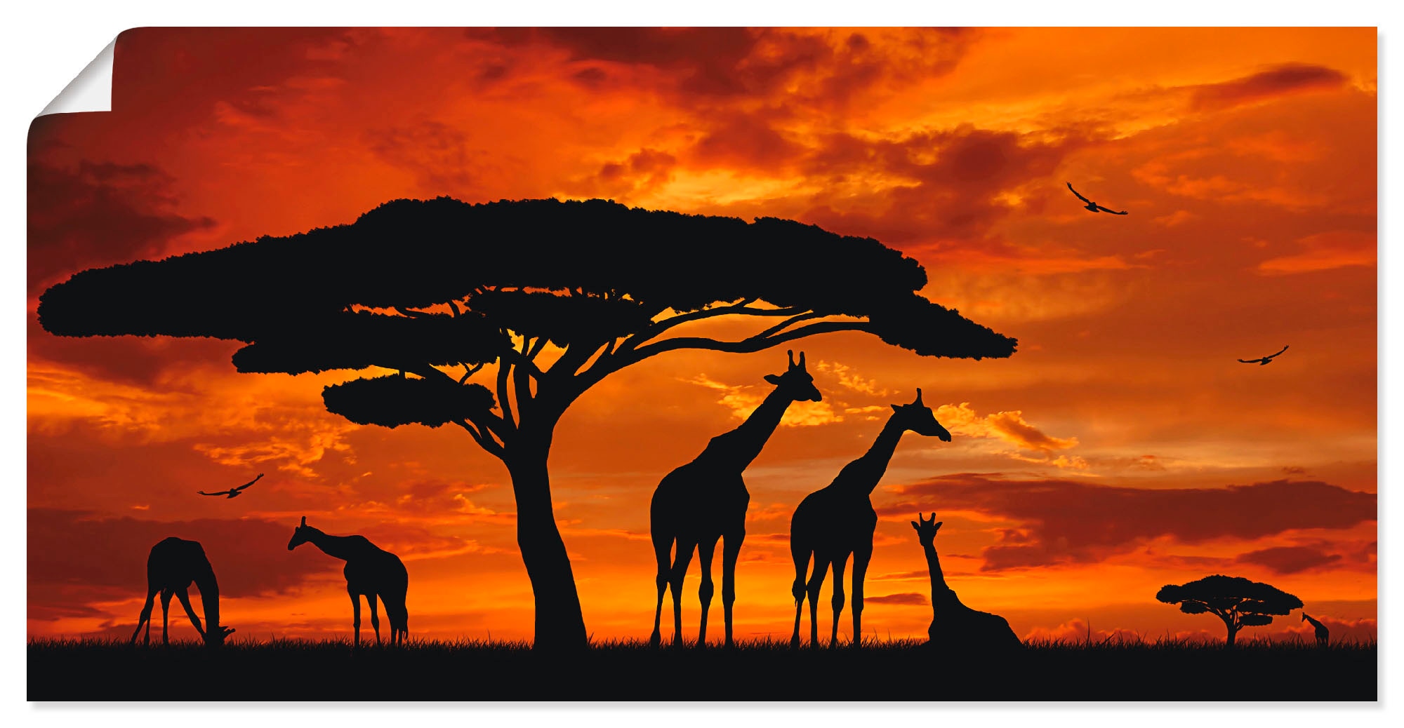 Artland Wandbild »Herde von St.), als oder Wildtiere, Grössen Sonnenuntergang«, Wandaufkleber Giraffen Leinwandbild, Poster im (1 versch. confortablement in acheter Alubild