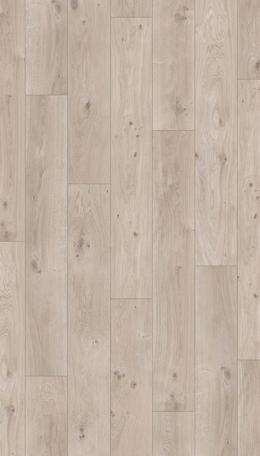 Image of PARADOR Laminat »Basic 400 - Eiche Natur Grau«, (Packung), Kantenimprägnierung, 1285 x 194 mm, Stärke: 8 mm bei Ackermann Versand Schweiz