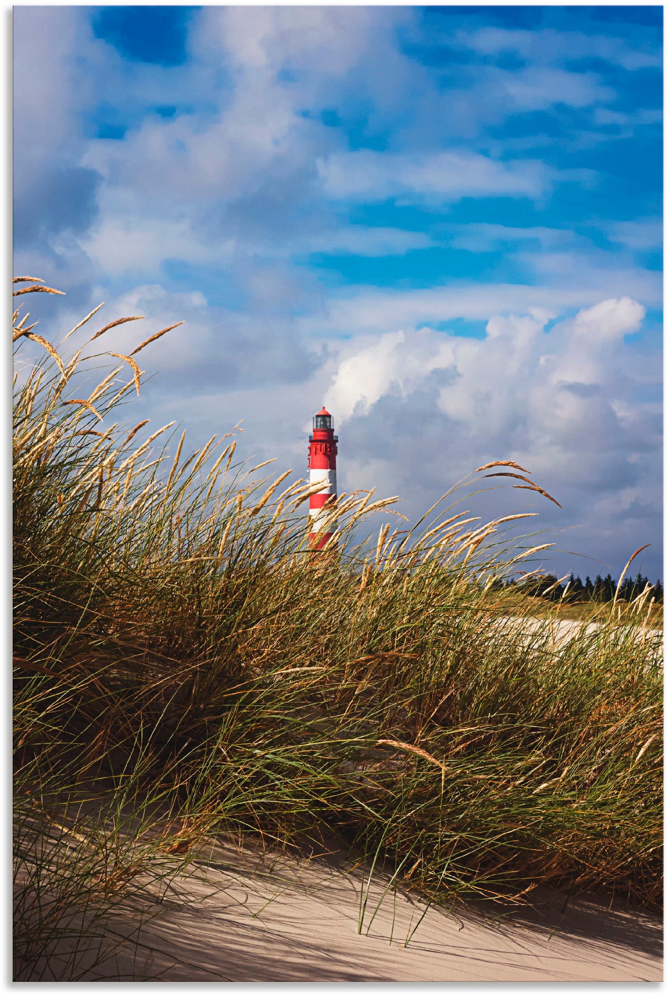 Image of Artland Wandbild »Sommerimpression Amrumer Leuchtturm«, Gebäude, (1 St.), in vielen Grössen & Produktarten - Alubild / Outdoorbild für den Aussenbereich, Leinwandbild, Poster, Wandaufkleber / Wandtattoo auch für Badezimmer geeignet bei Ackermann Versand S