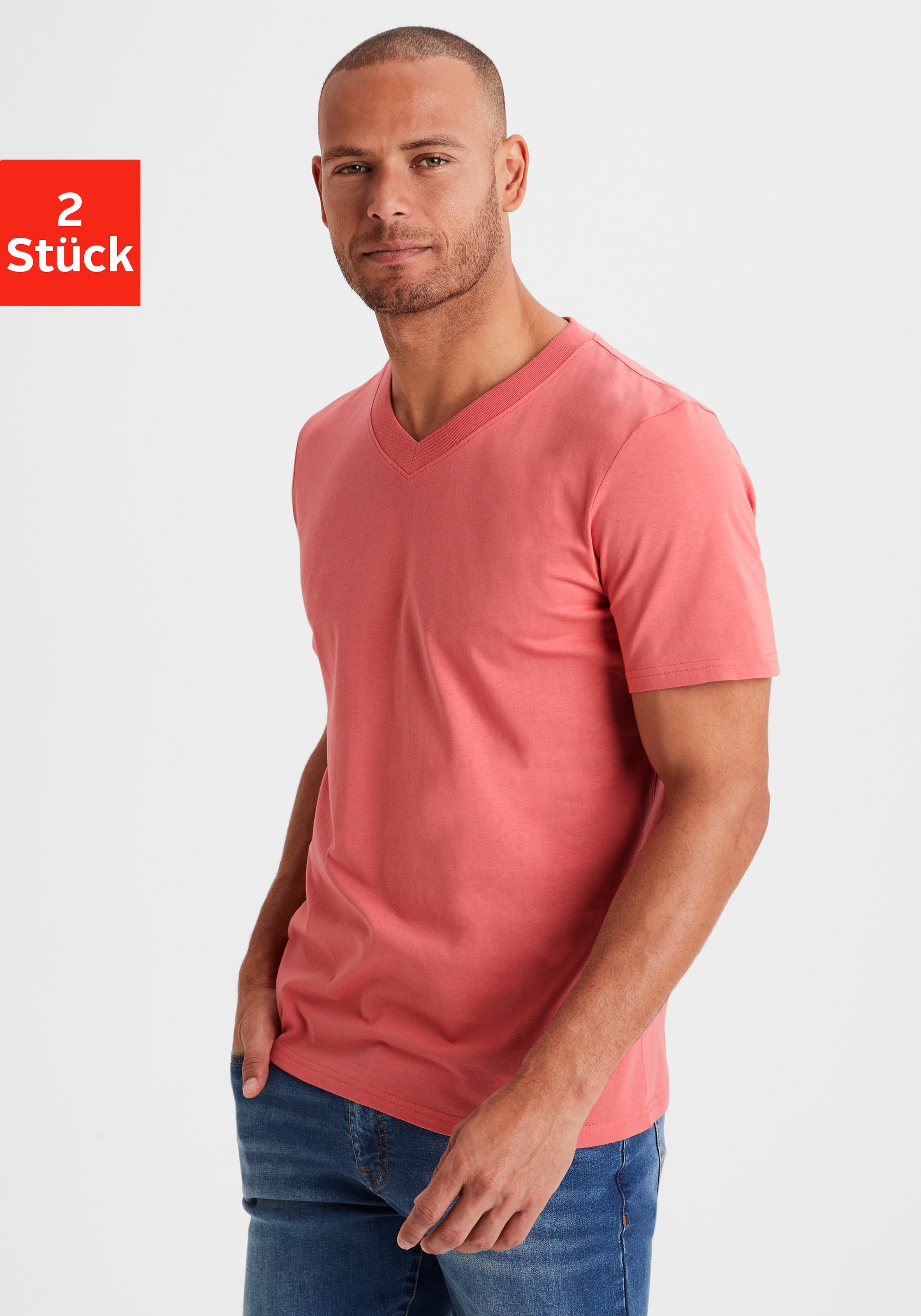 V-Shirt »Regular Fit,«, Freizeitshirt mit Kurzarm, V-Ausschnitt aus reine Baumwolle