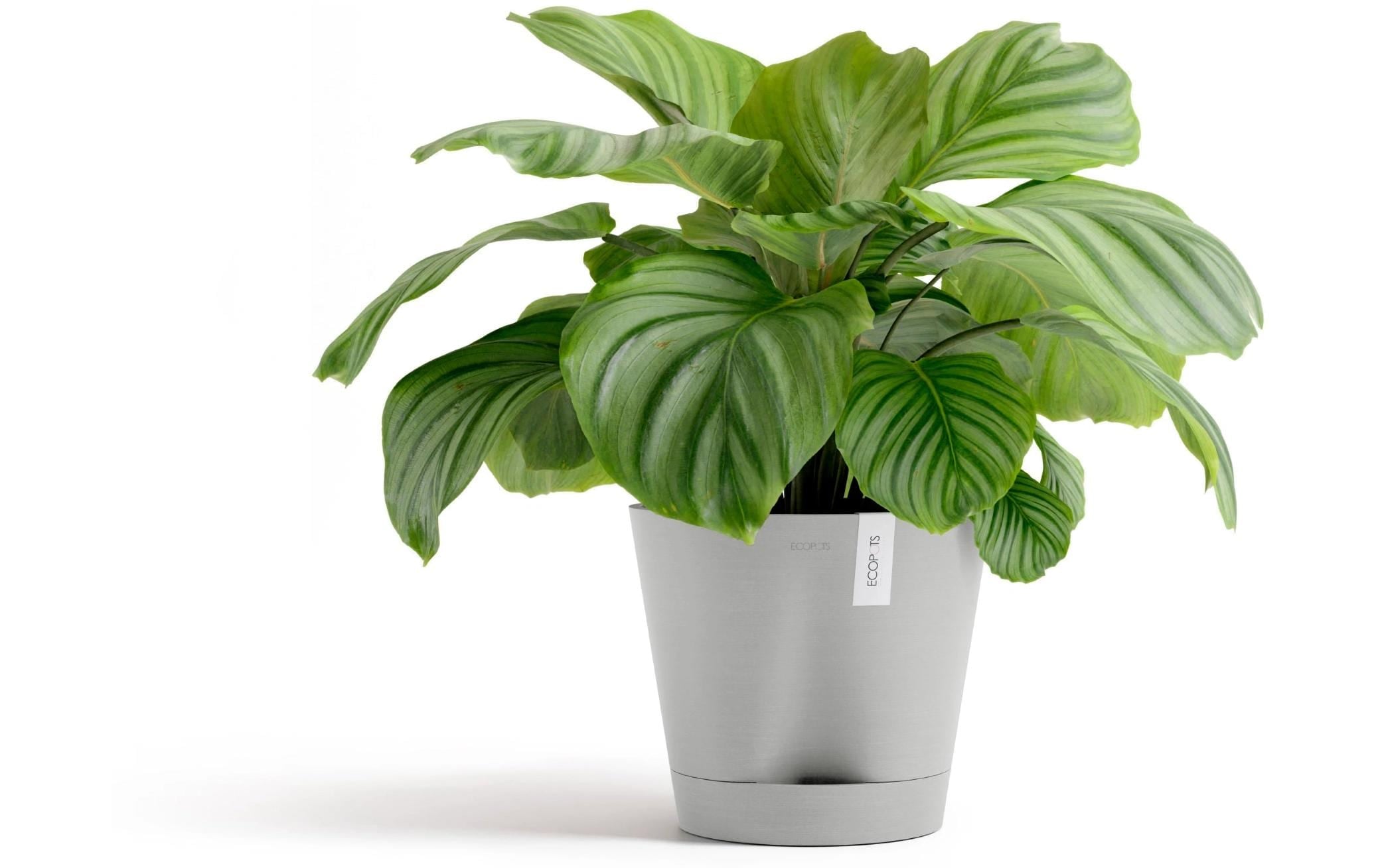 ECOPOTS Pot de fleurs »Venice 2 30 Weissgrau« für den Innenbereich