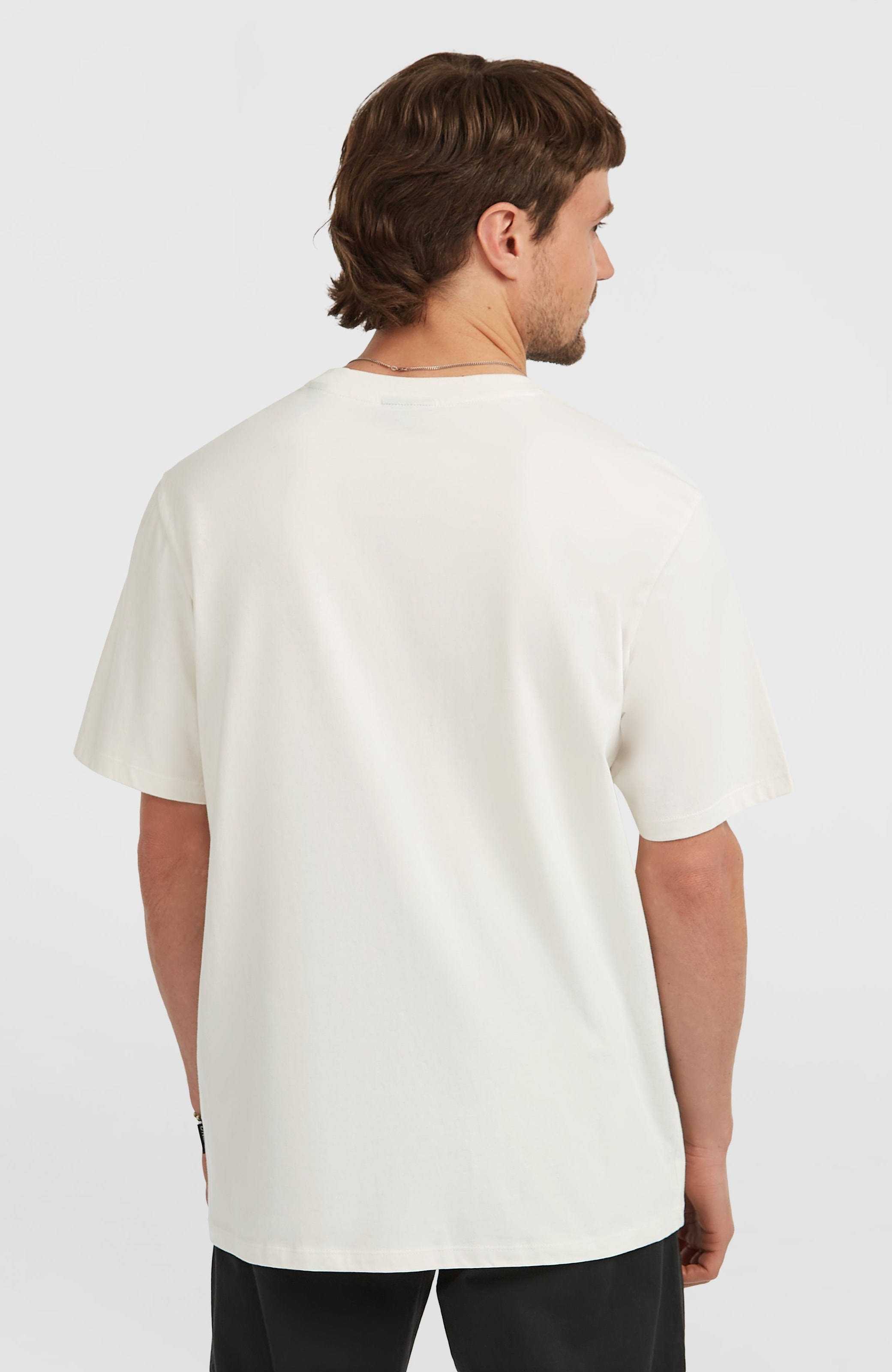 O'Neill T-Shirt »O'NEILL CHEST PRINT T-SHIRT«, (1 tlg.)