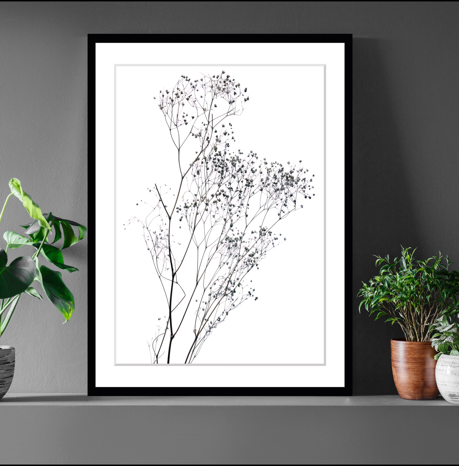 Image of queence Bild "Dana" Blumen Pflanzen Pflanzenbilder Schwarz-Weiss gerahmt, Blumen