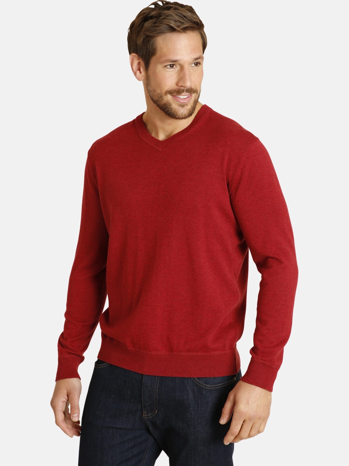 V-Ausschnitt-Pullover »MERTEN«