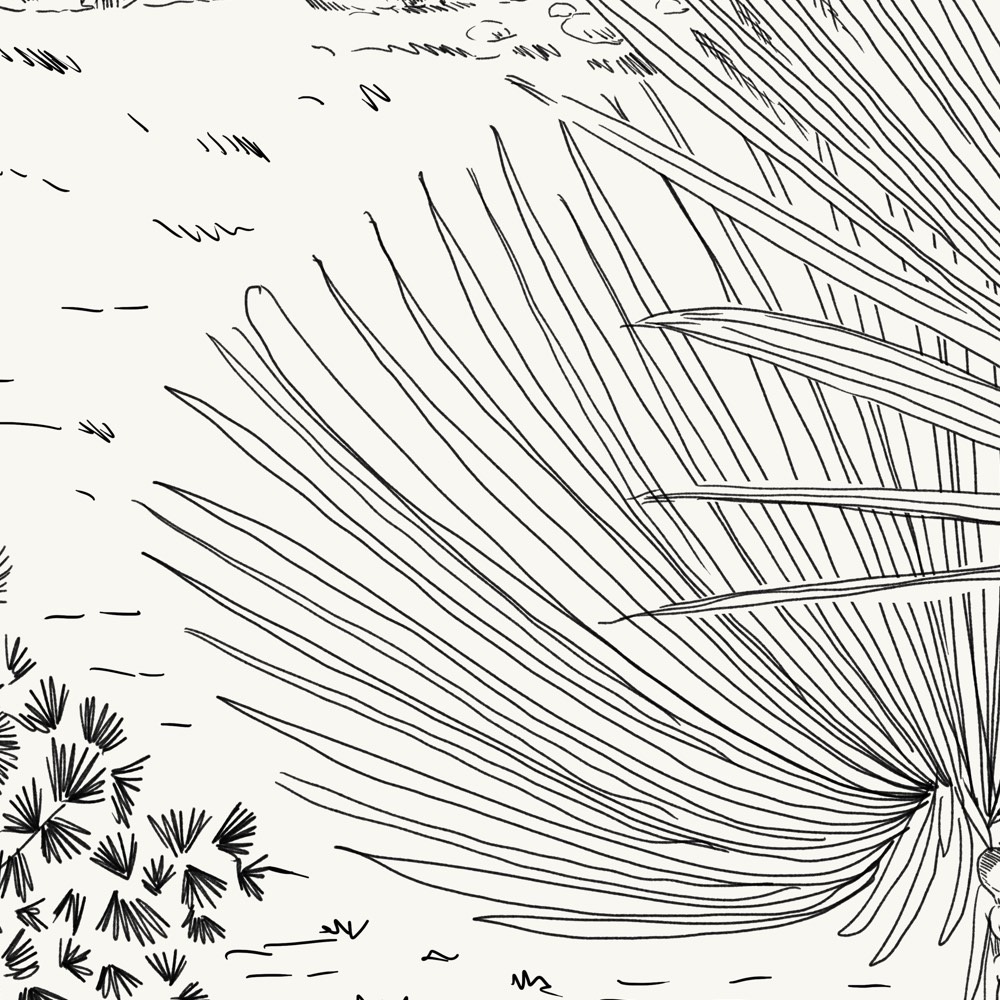 Komar Fototapete »Vlies Fototapete - Shoreline - Grösse 300 x 250 cm« Motiv | bedruckt glatt