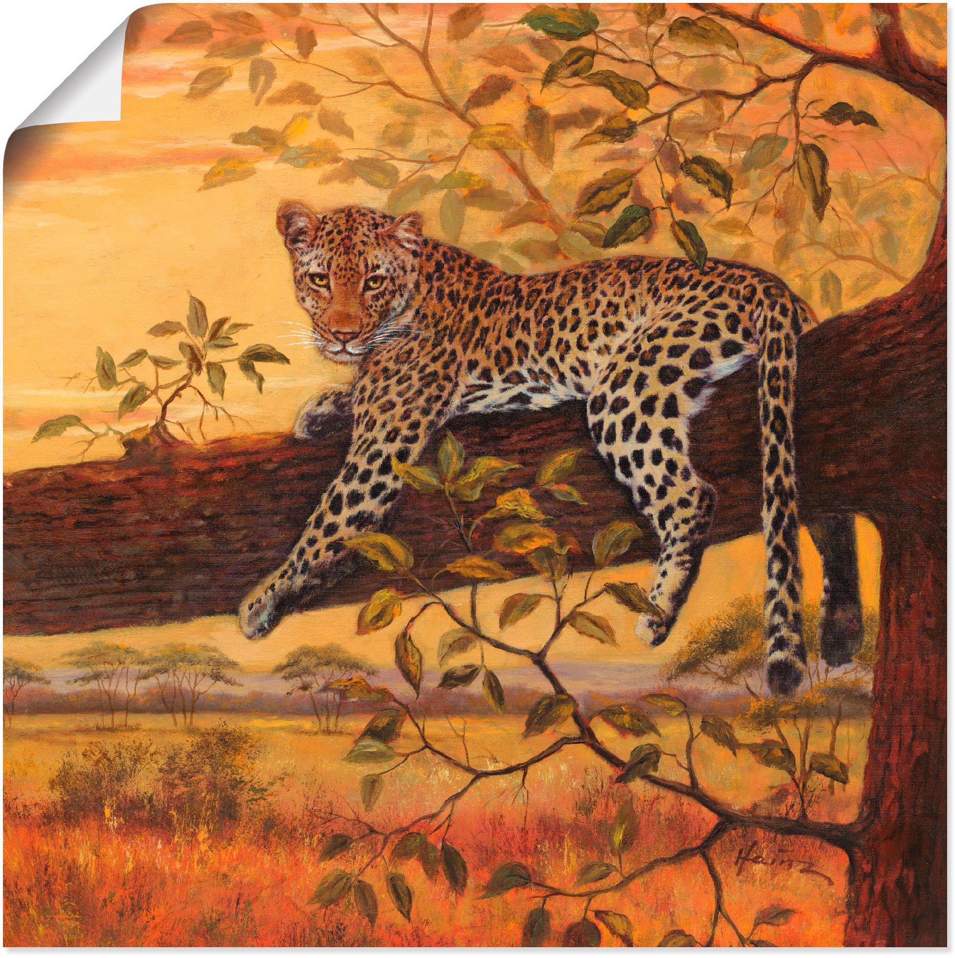 Image of Artland Wandbild »Ruhender Leopard«, Wildtiere, (1 St.), in vielen Grössen & Produktarten - Alubild / Outdoorbild für den Aussenbereich, Leinwandbild, Poster, Wandaufkleber / Wandtattoo auch für Badezimmer geeignet bei Ackermann Versand Schweiz