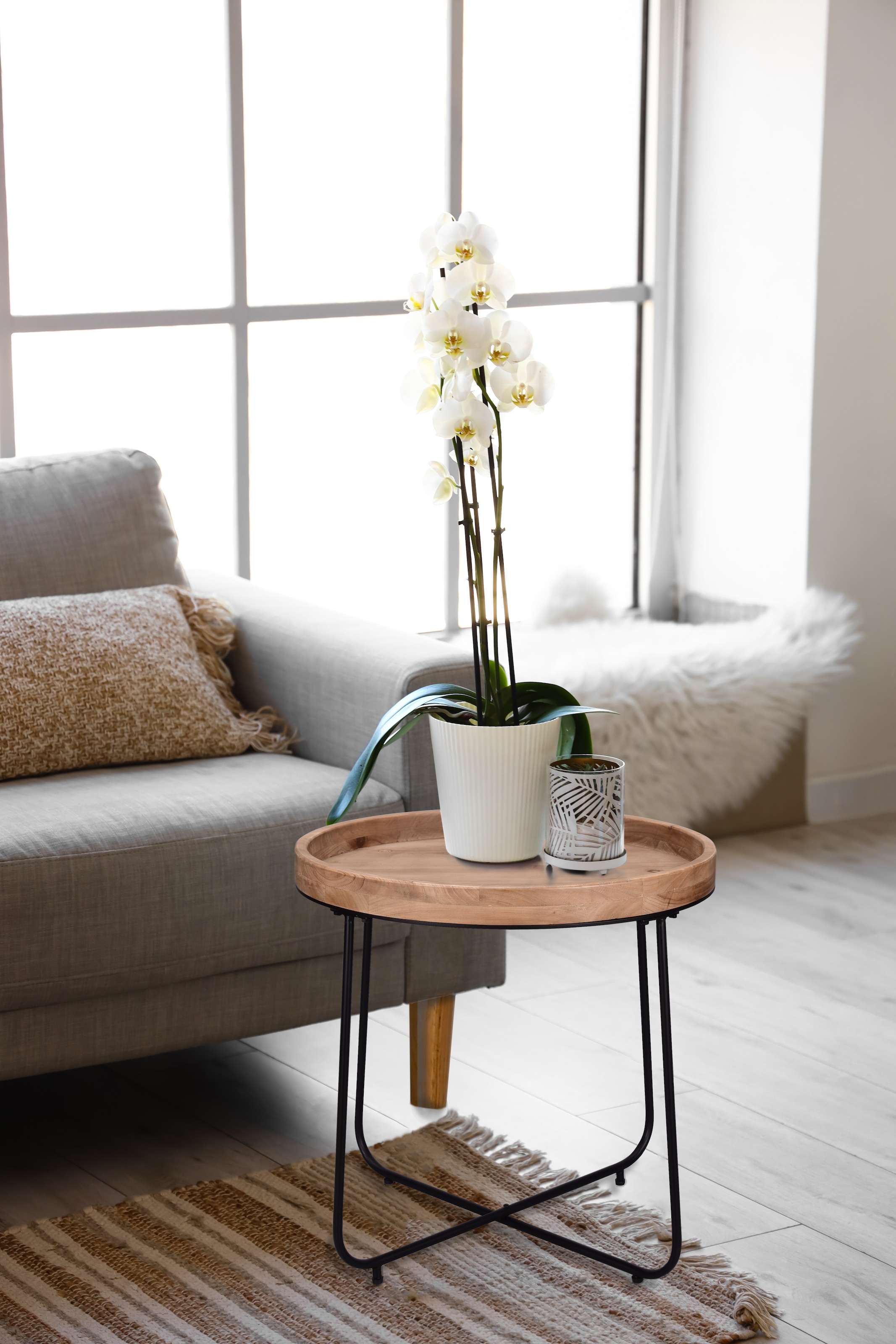 MIRRORS AND MORE Table d'appoint »Jette« 1 cuis tlg. plateau en bois massif de haute qualité