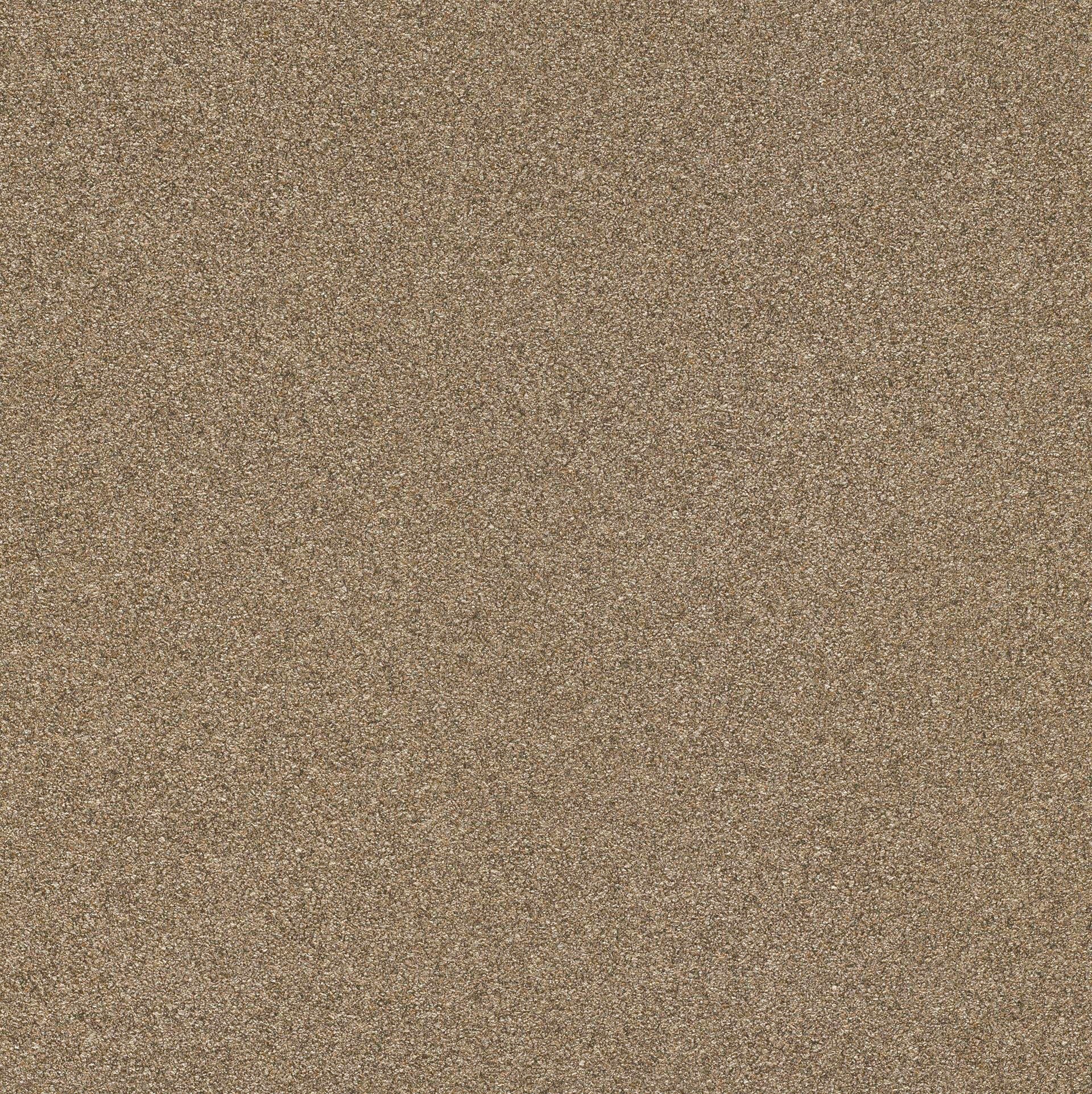 Image of Rasch Vinyltapete »Passepartout«, uni-Steinoptik bei Ackermann Versand Schweiz