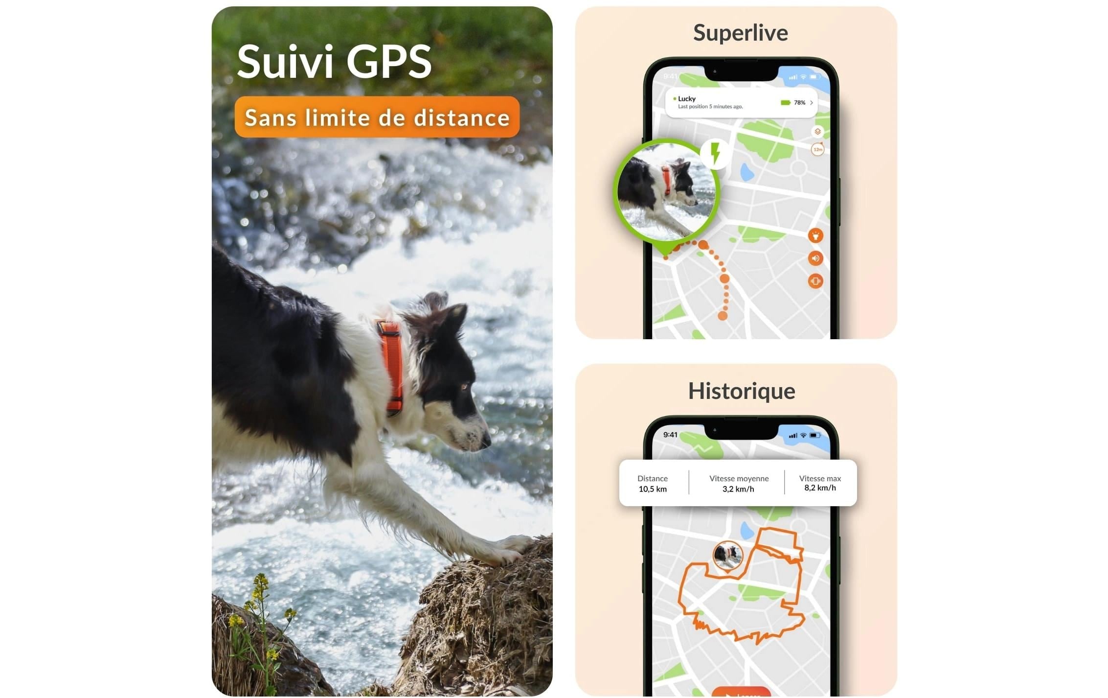   traceur GPS pour chiens »Weenect für Hunde XT mit Halsband«