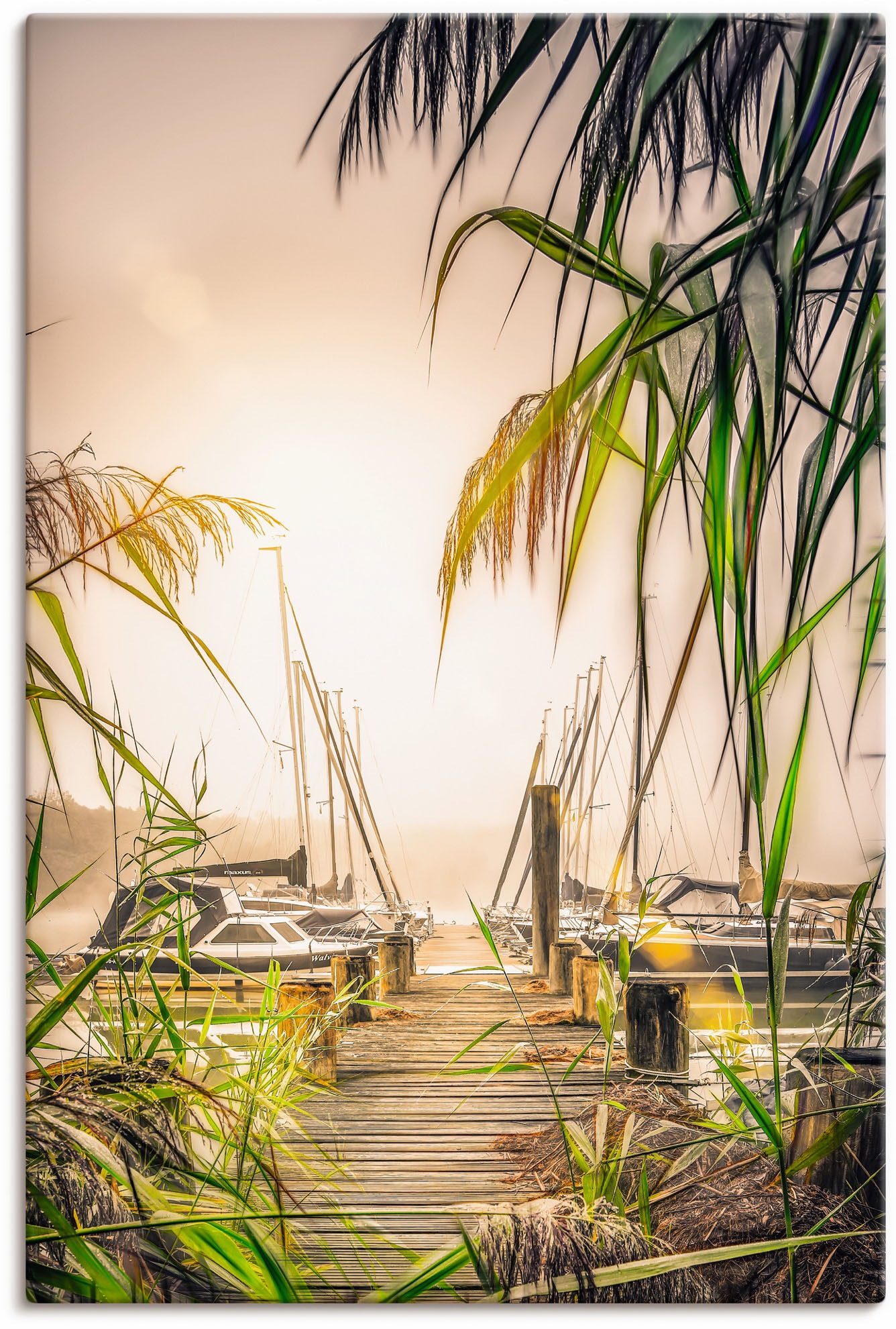 Image of Artland Wandbild »Steg im Nebel mit Schilf und Booten«, Seebilder, (1 St.), in vielen Grössen & Produktarten - Alubild / Outdoorbild für den Aussenbereich, Leinwandbild, Poster, Wandaufkleber / Wandtattoo auch für Badezimmer geeignet bei Ackermann Versand