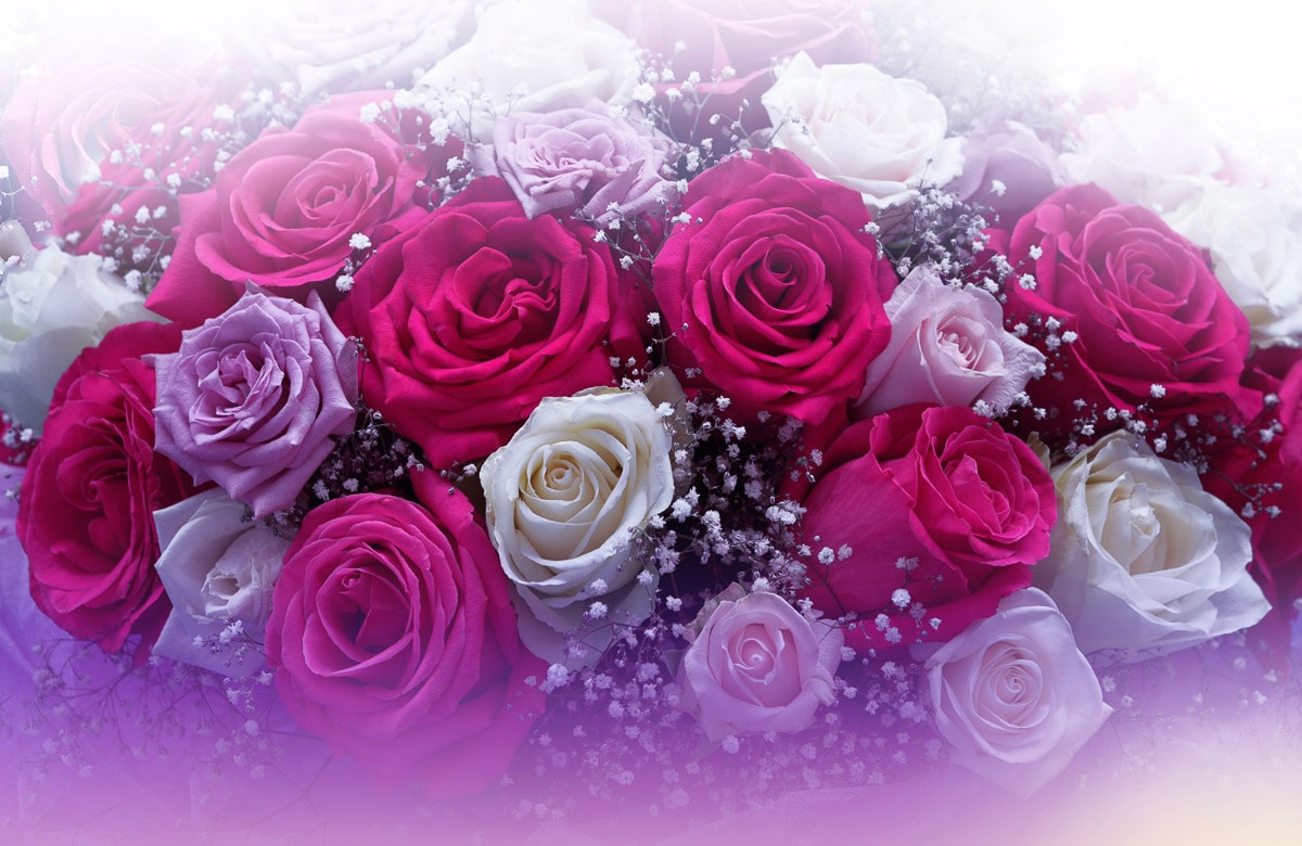 Image of Papermoon Fototapete "ROSEN-BLUMEN FANTASIE ABSTRAKT KUNST TEXTUR DESIGN ART"