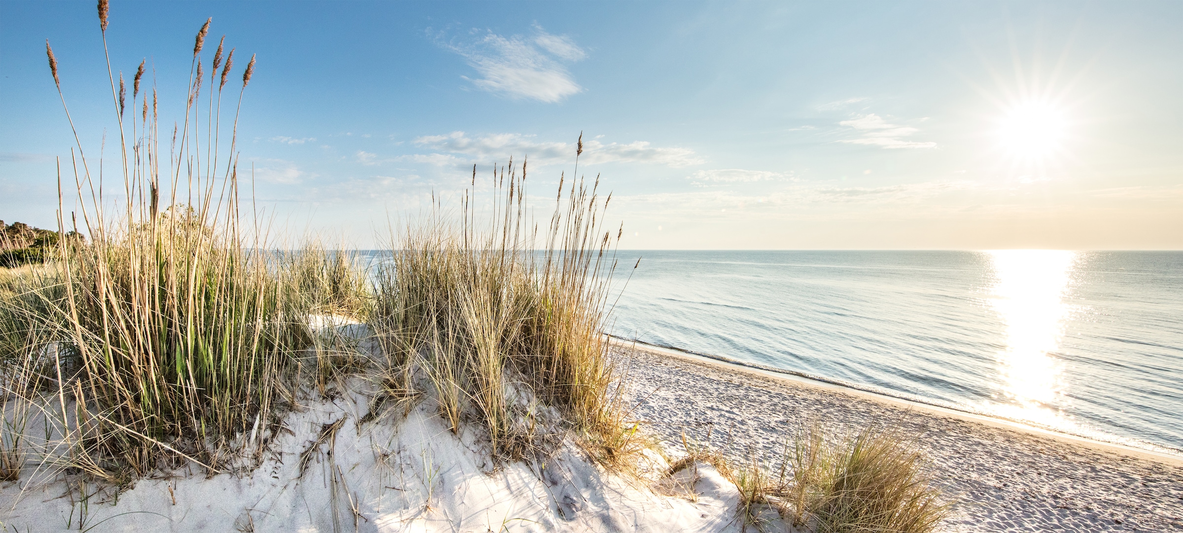 Image of Bönninghoff Leinwandbild Düne Strand 1 Stk. tlg. BxH: 200x90 cm