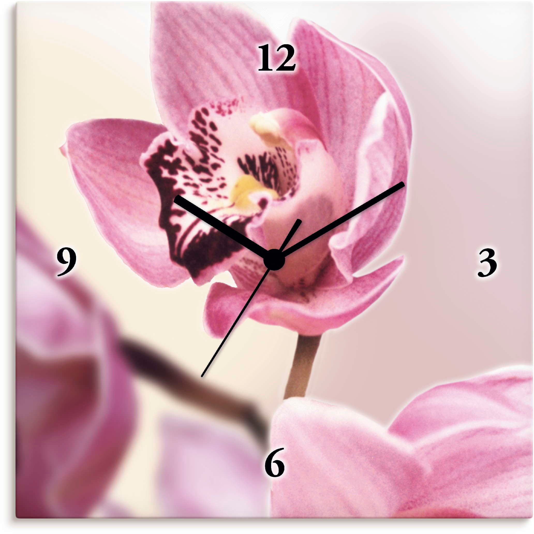 Image of Artland Wanduhr »Rosa Orchidee« bei Ackermann Versand Schweiz
