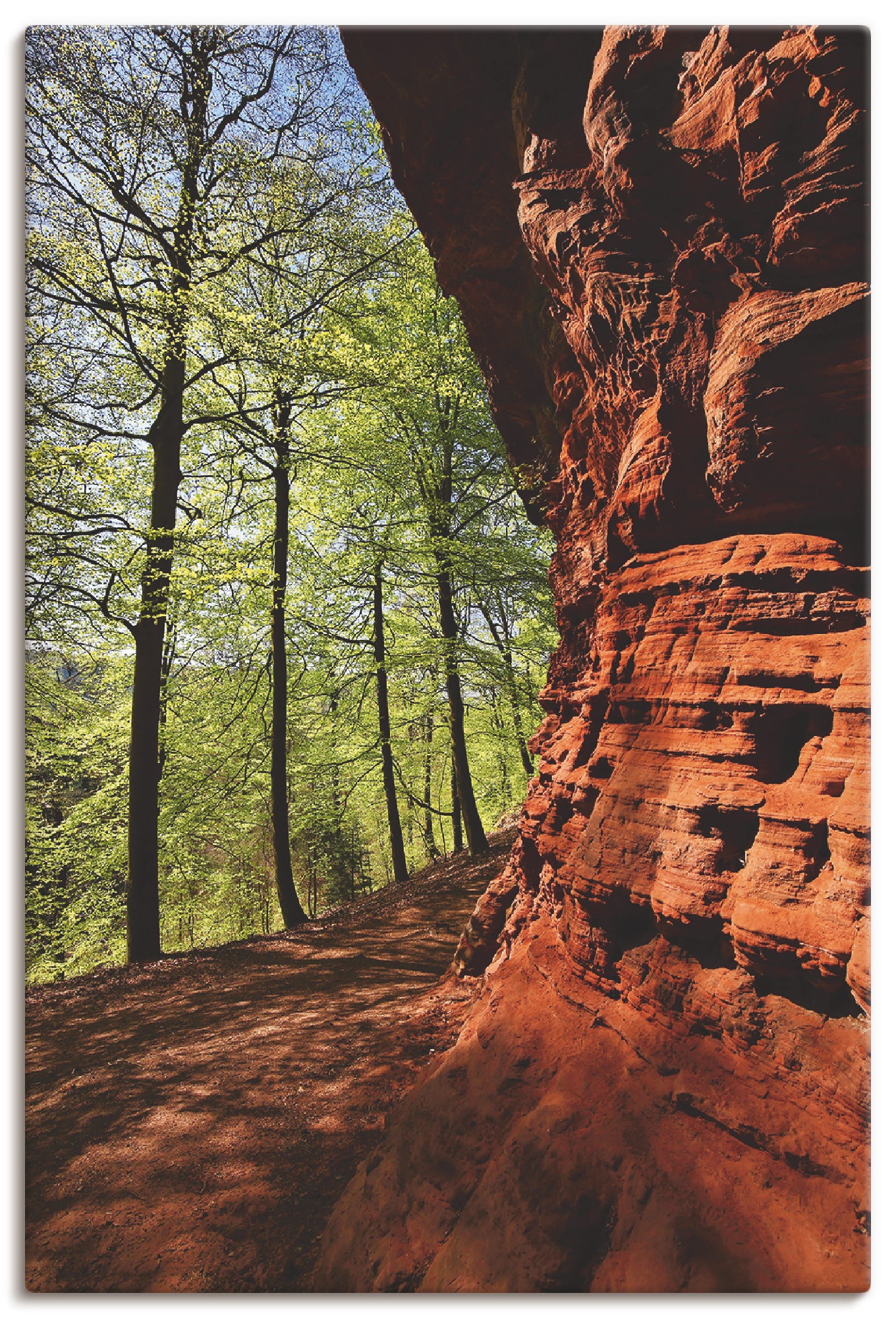 Image of Artland Wandbild »Altschlossfelsen II«, Felsen, (1 St.), in vielen Grössen & Produktarten - Alubild / Outdoorbild für den Aussenbereich, Leinwandbild, Poster, Wandaufkleber / Wandtattoo auch für Badezimmer geeignet bei Ackermann Versand Schweiz