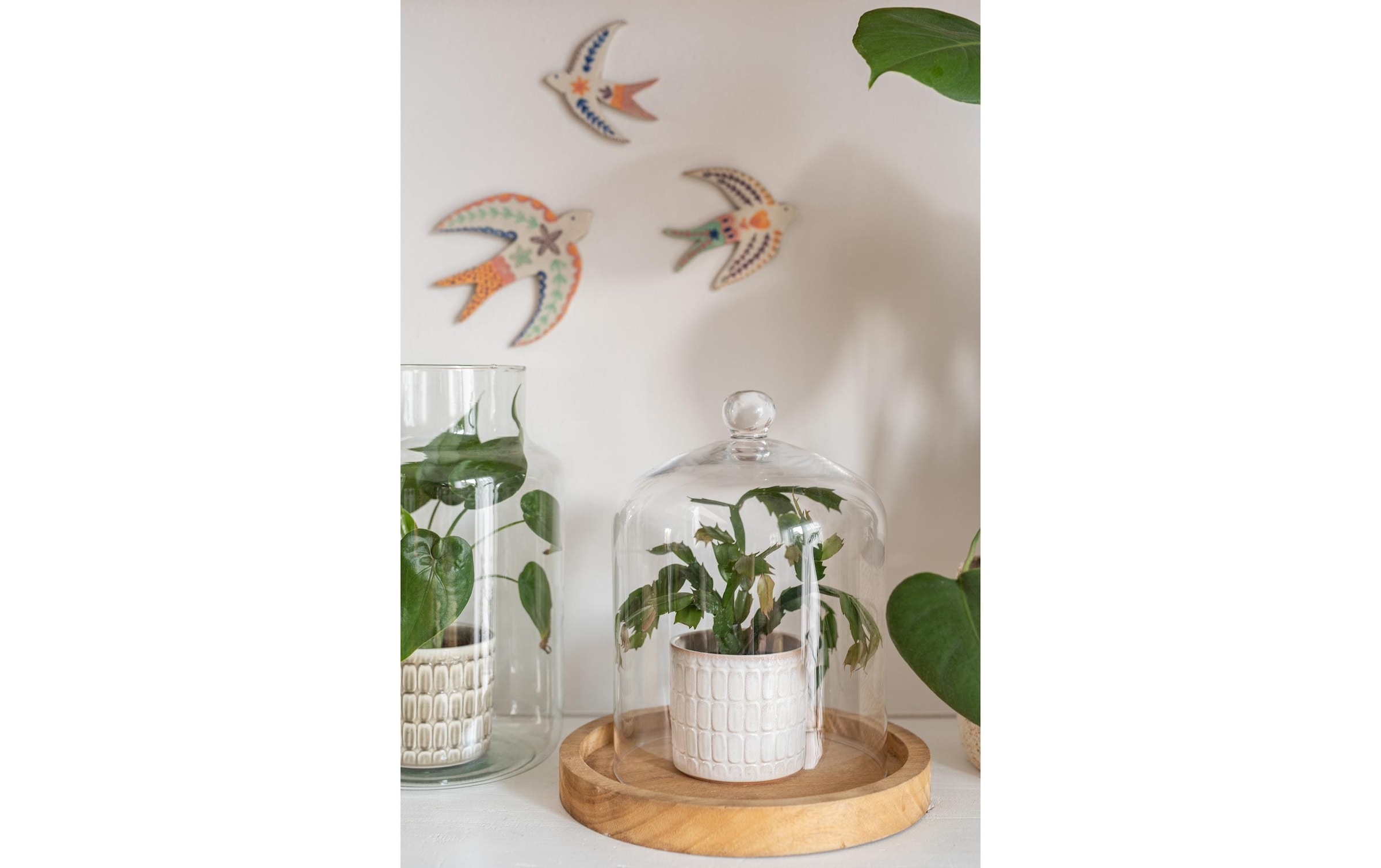 Scheurich Blumentopf »Opale 18.6 cm«