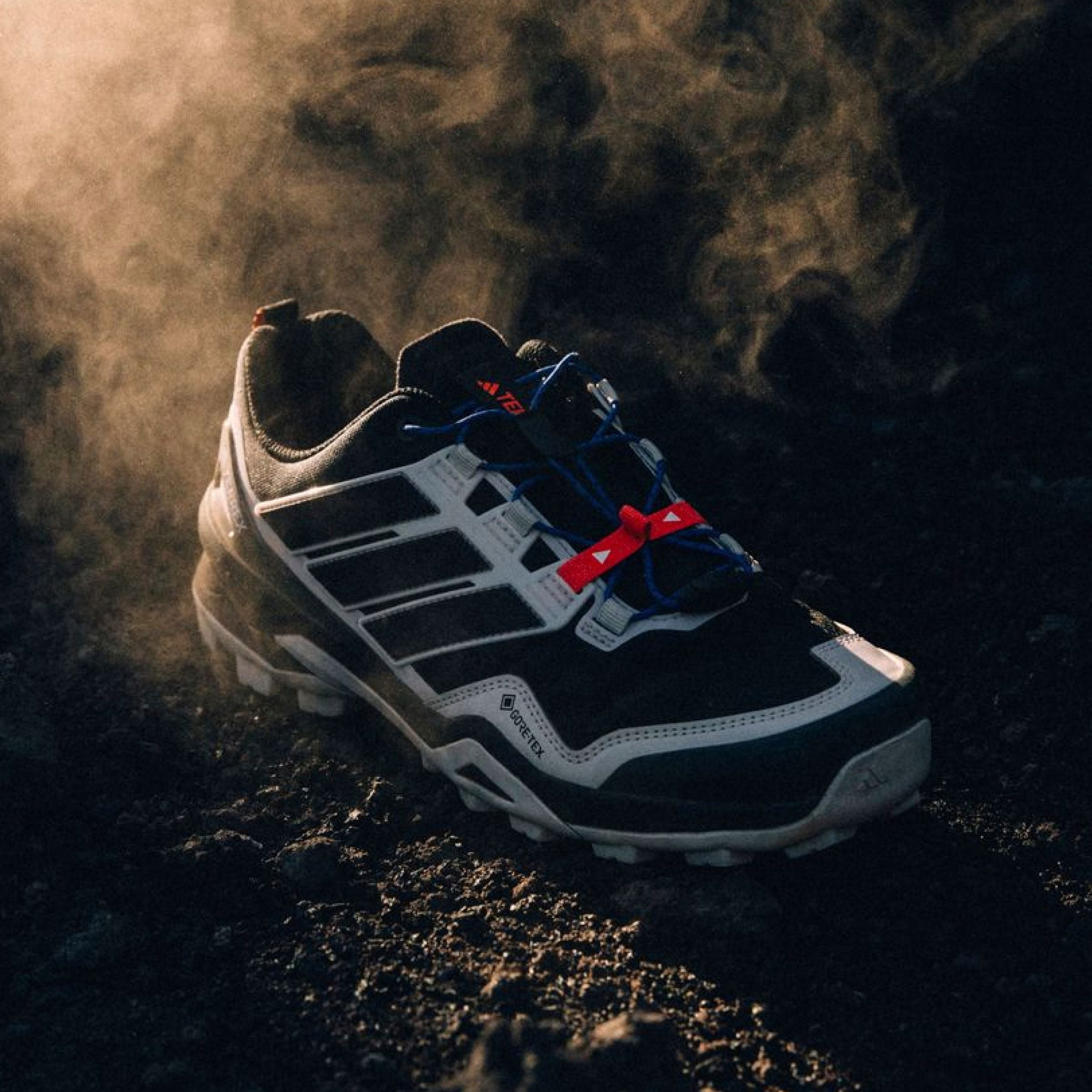 adidas TERREX Wanderschuh »TERREX SKYCHASER GORE-TEX«, wasserdicht