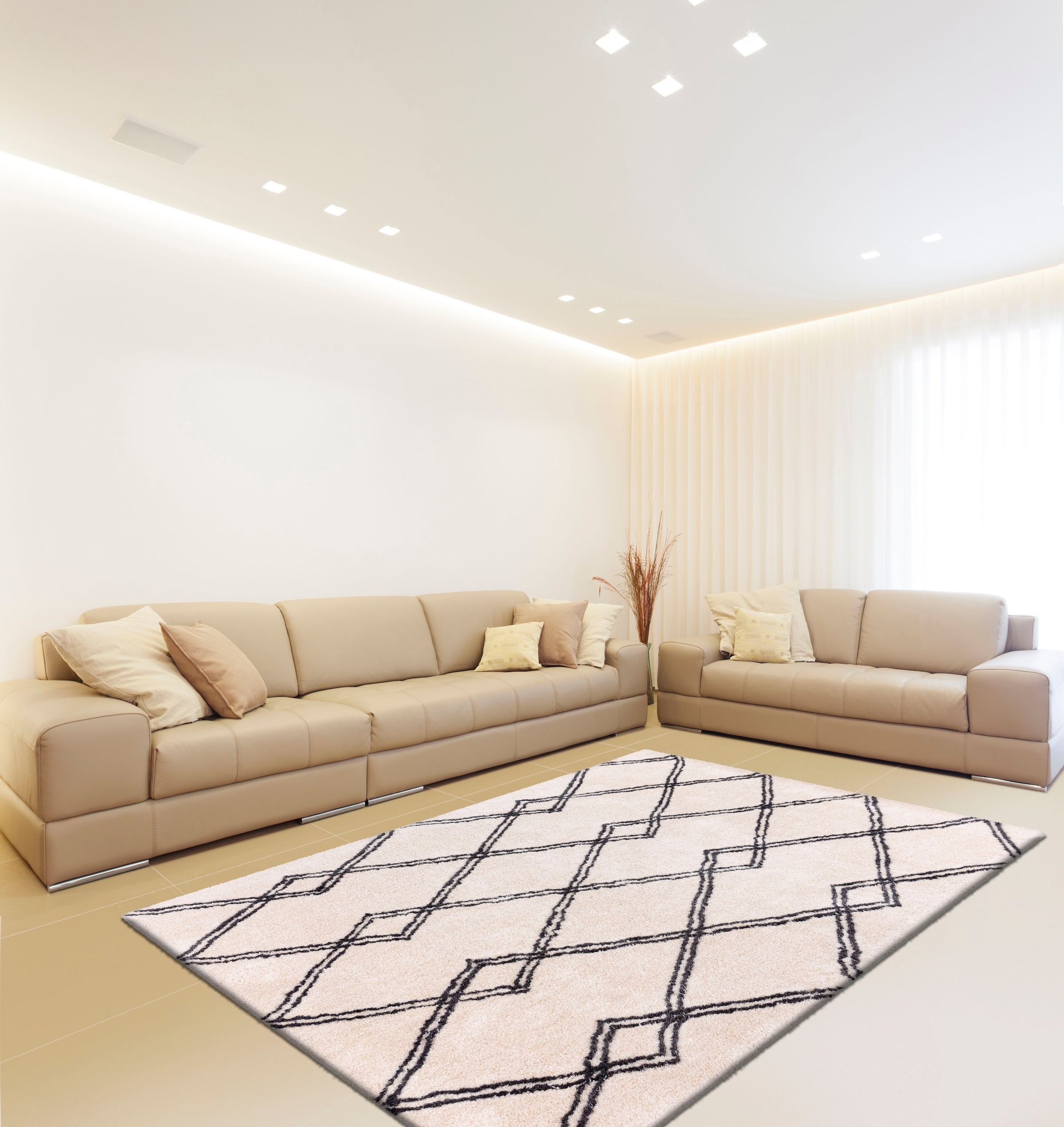 calo-deluxe Hochflor-Teppich »Elvar-1000« rechteckig 27 mm Höhe besonders weich durch Microfaser, Wohnzimmer