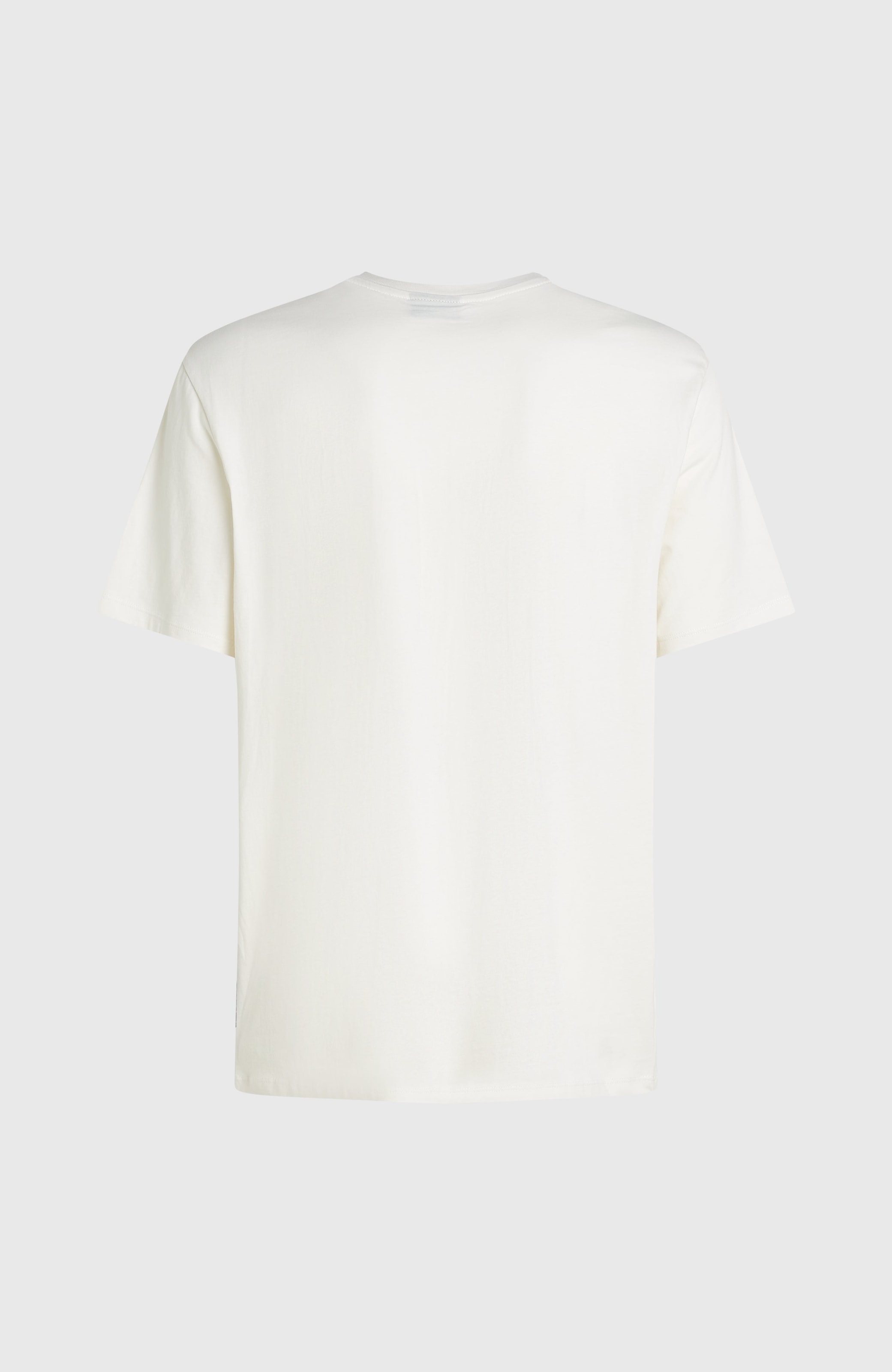 O'Neill T-Shirt »O'NEILL CHEST PRINT T-SHIRT«, (1 tlg.)