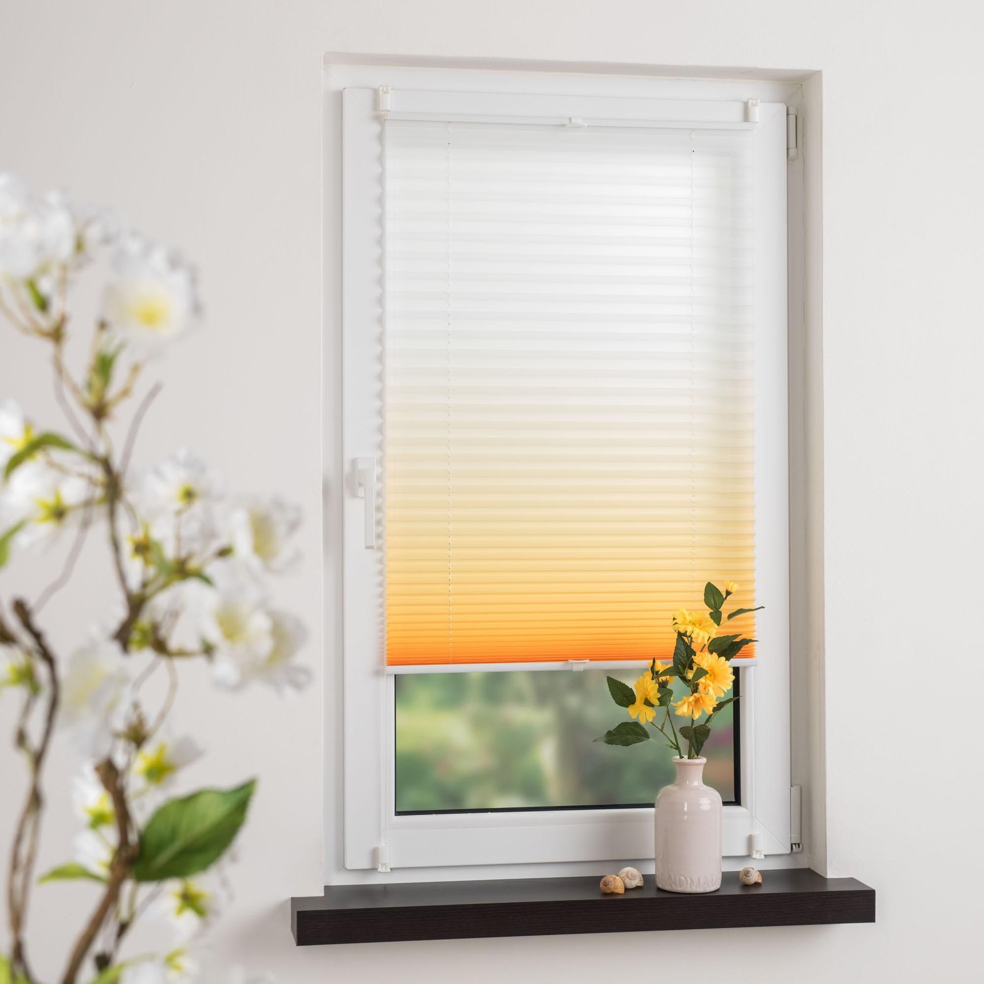 Liedeco Plissee »Farbverlauf« Lichtschutz ohne Bohren verspannt