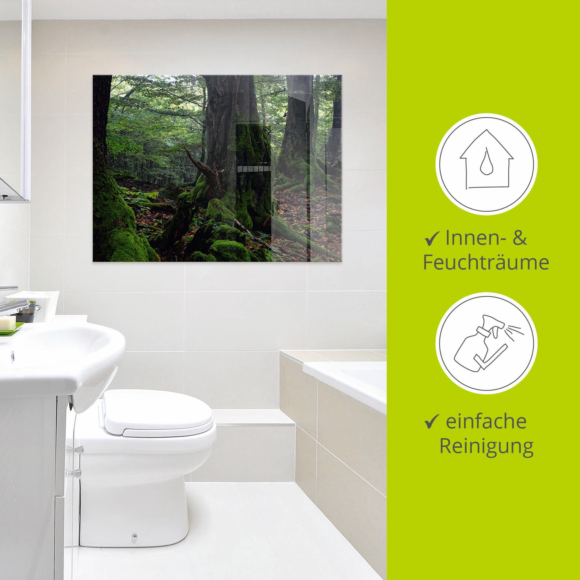 Artland Glasbild »Alte Bäume am Kraterrand«, Wald, (1 St.), in verschiedenen Grössen
