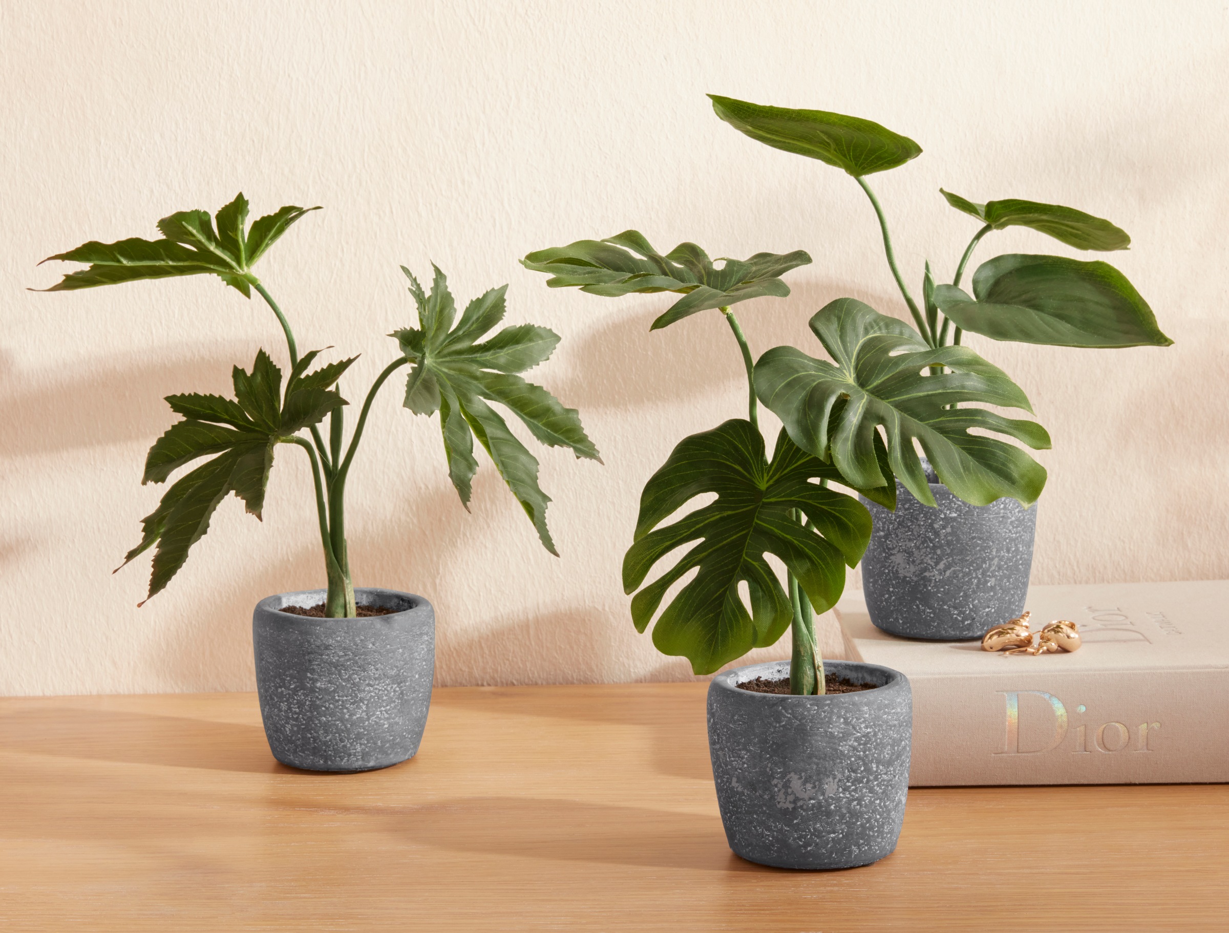 Image of Guido Maria Kretschmer Home&Living Kunstpflanze »Magelina«, (3 St.), im Zementtopf, 3 Stück bei Ackermann Versand Schweiz