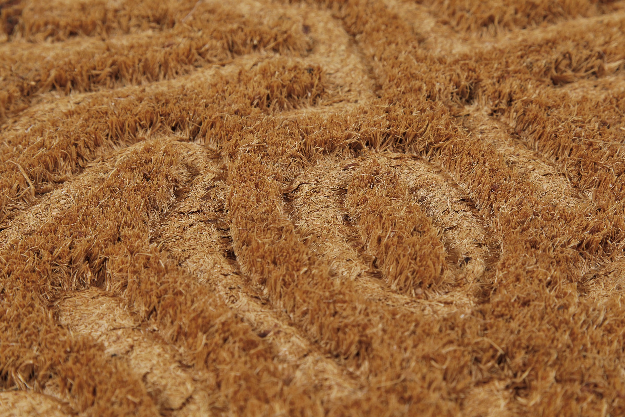 Wecon home Fussmatte »Desert Doodle«, rechteckig, 14 mm Höhe, Kokos, pflegeleicht, rutschfest, abstraktes Design, Schmutzfangmatte