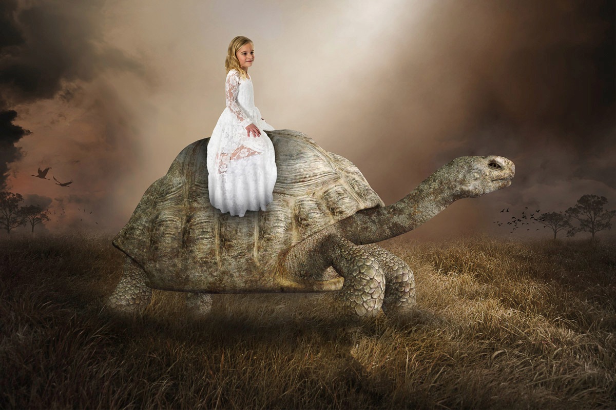 Image of Papermoon Fototapete »Surreale Mädchen Schildkröte Liebe Hoffnung«, Vliestapete, hochwertiger Digitaldruck, inklusive Kleister bei Ackermann Versand Schweiz
