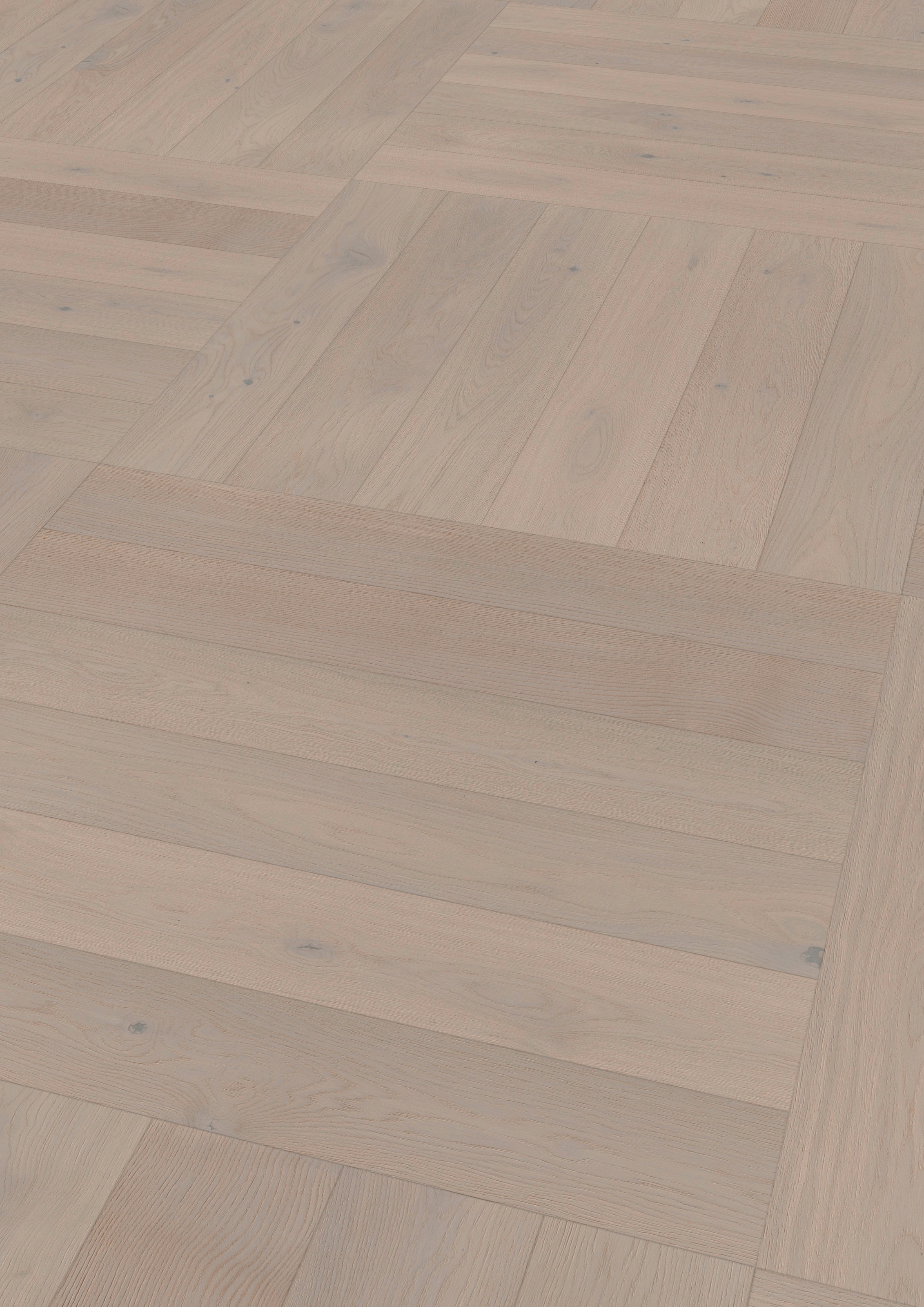 Image of ter Hürne Parkett »Eiche lichtgrau«, mit fühlbarer Oberfläche bei Ackermann Versand Schweiz