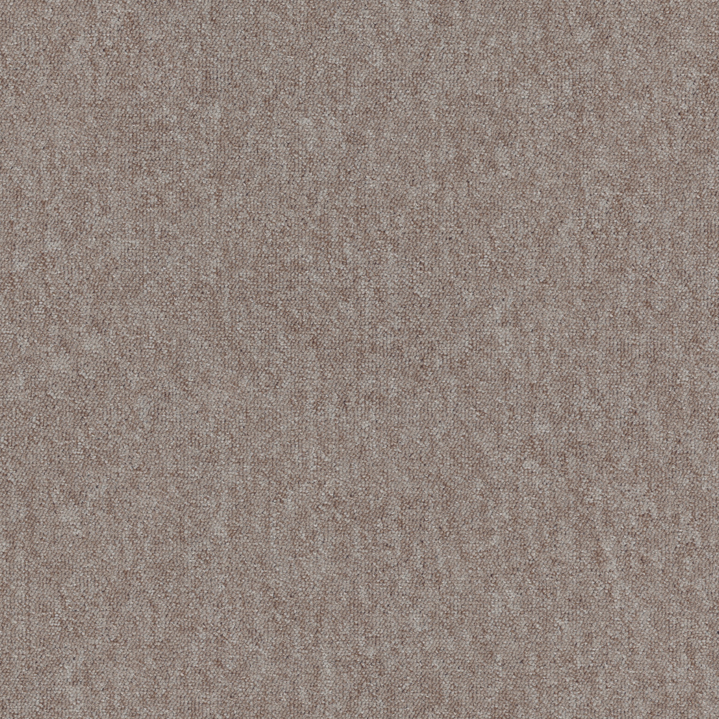 Image of Renowerk Teppichfliese »Neapel«, quadratisch, 3 mm Höhe, Beige, selbstliegend bei Ackermann Versand Schweiz