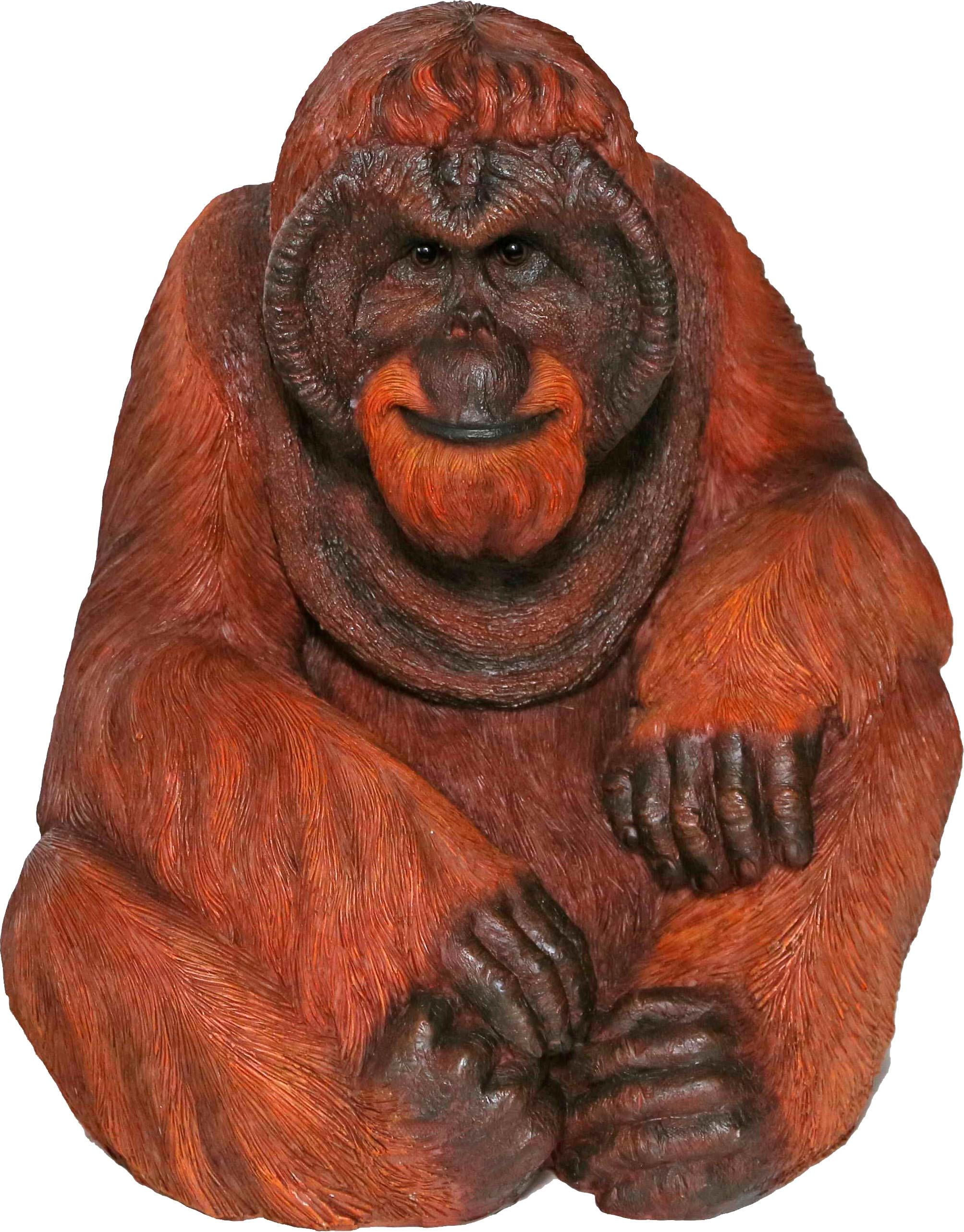Image of Casa Collection by Jänig Tierfigur, Orangutan sitzend, Höhe: 38,5 cm bei Ackermann Versand Schweiz