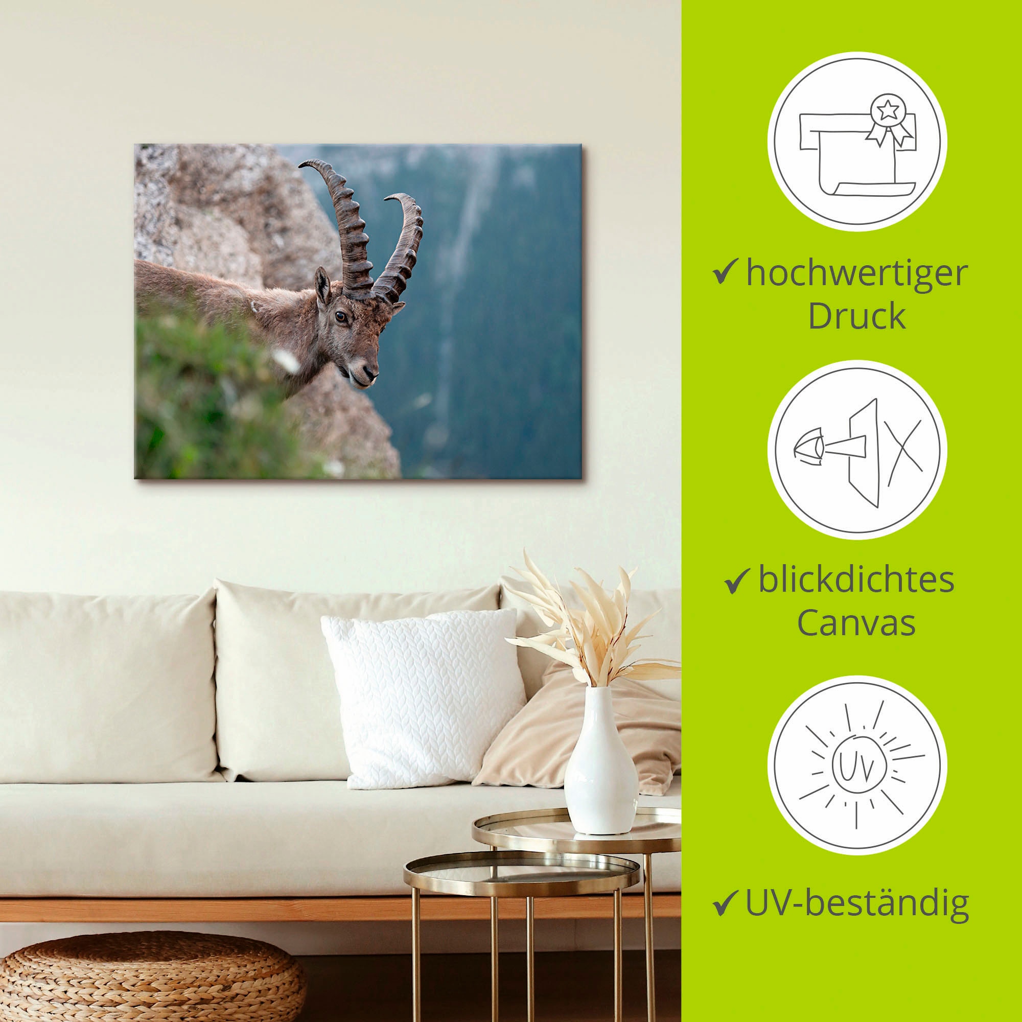 Artland Leinwandbild »Steinbock«, Wildtiere, (1 St.), auf Keilrahmen gespannt