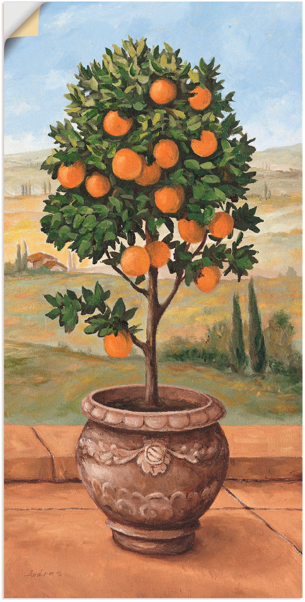 Image of Artland Wandbild »Orangenbaum«, Bäume, (1 St.), in vielen Grössen & Produktarten - Alubild / Outdoorbild für den Aussenbereich, Leinwandbild, Poster, Wandaufkleber / Wandtattoo auch für Badezimmer geeignet bei Ackermann Versand Schweiz