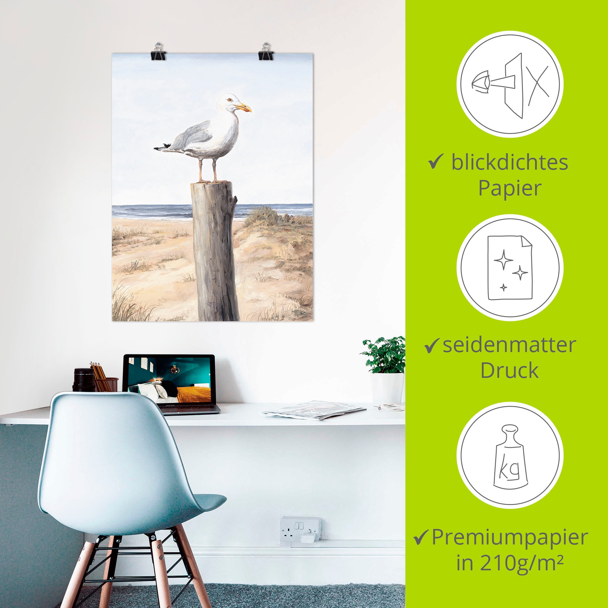 Artland Fresque murale »Möwe« 1 cuis tlg. als Alubild, Leinwandbild, Poster in verschied. Grössen