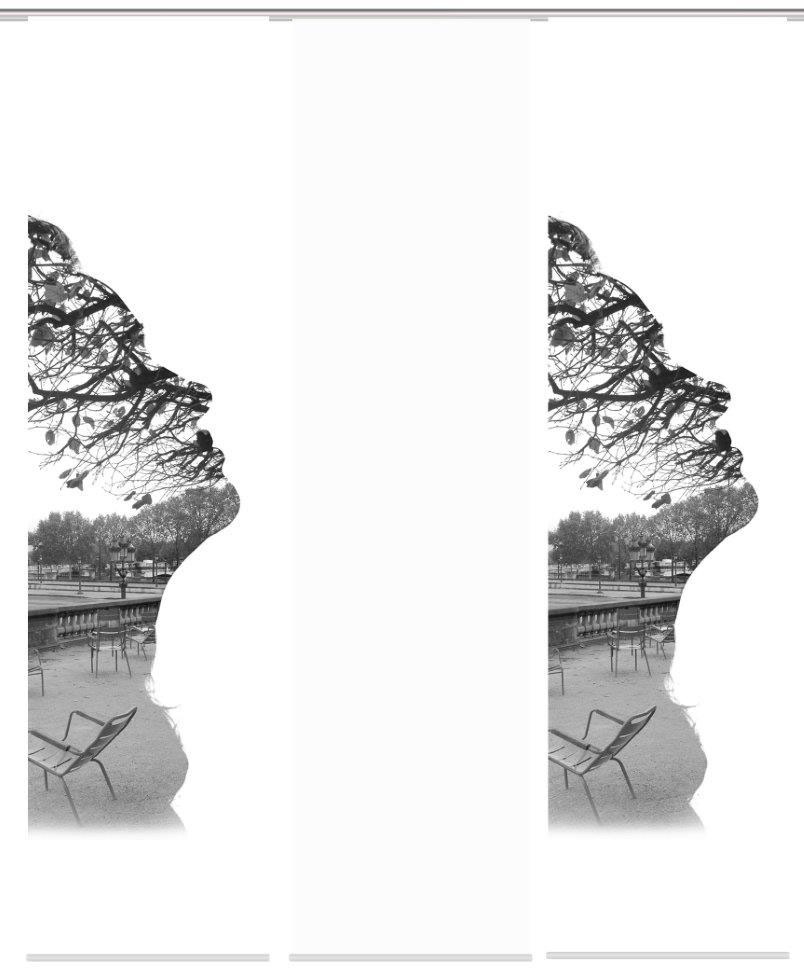 Image of HOME WOHNIDEEN Schiebegardine »FALUNA 3er SET«, (3 St.), Dekostoff-Seidenoptik, Digital bedruckt bei Ackermann Versand Schweiz