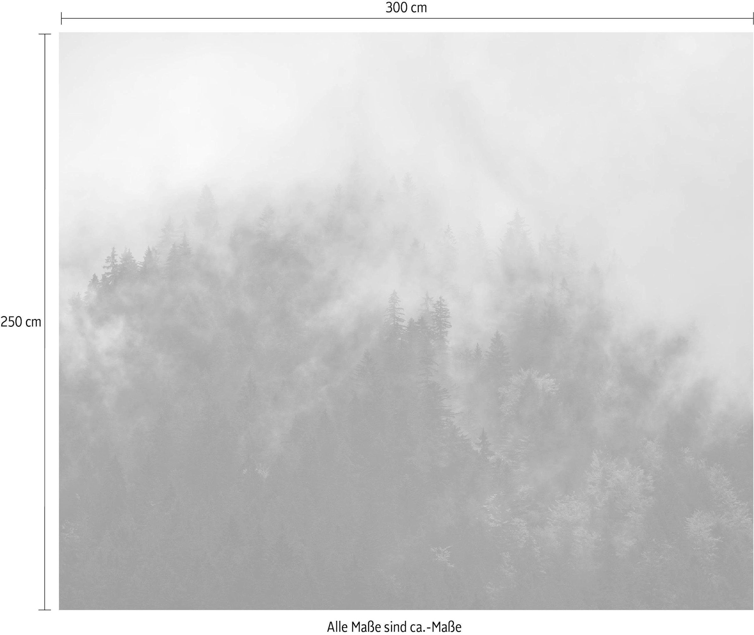 Komar Papier peint intissé (Breite x Höhe), Vliestapete, 100 cm Bahnbreite