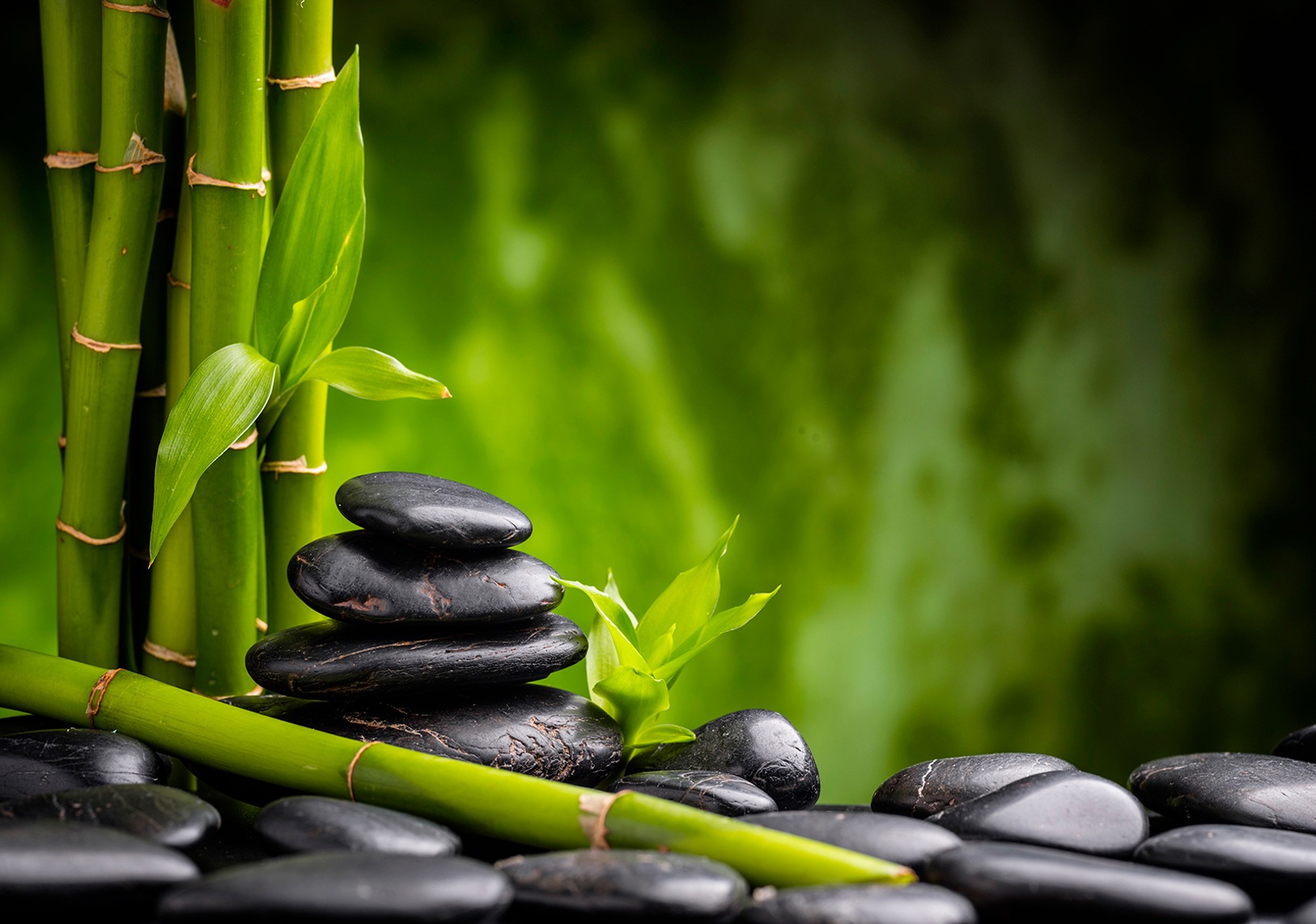 Image of Consalnet Vliestapete »SPA BAMBUS«, grafisch, in verschiedenen Grössen bei Ackermann Versand Schweiz