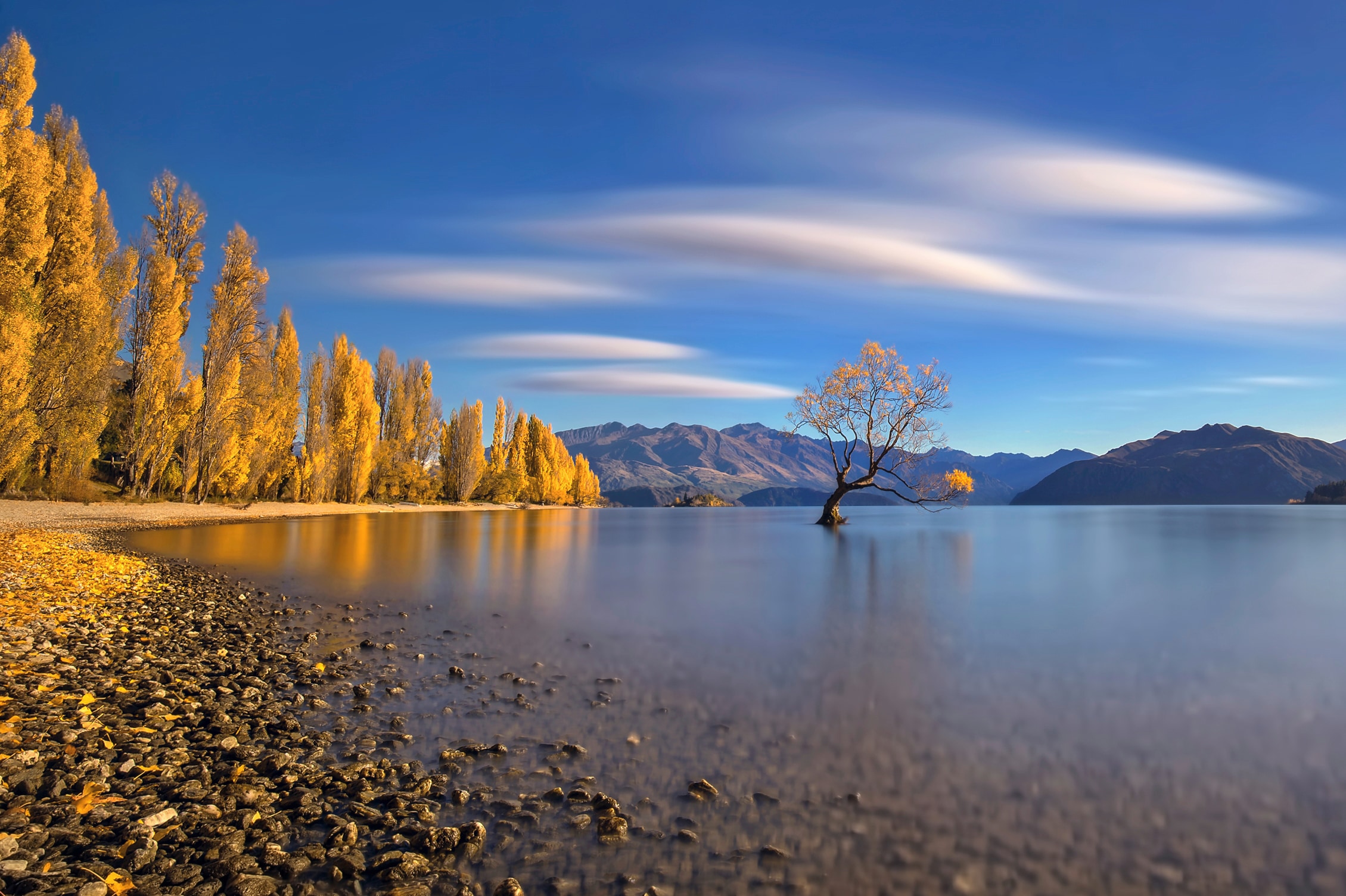 Image of Papermoon Fototapete »Photo-Art HUA ZHU, HERBST IM SEE WANAKA«, Vliestapete, hochwertiger Digitaldruck, inklusive Kleister bei Ackermann Versand Schweiz