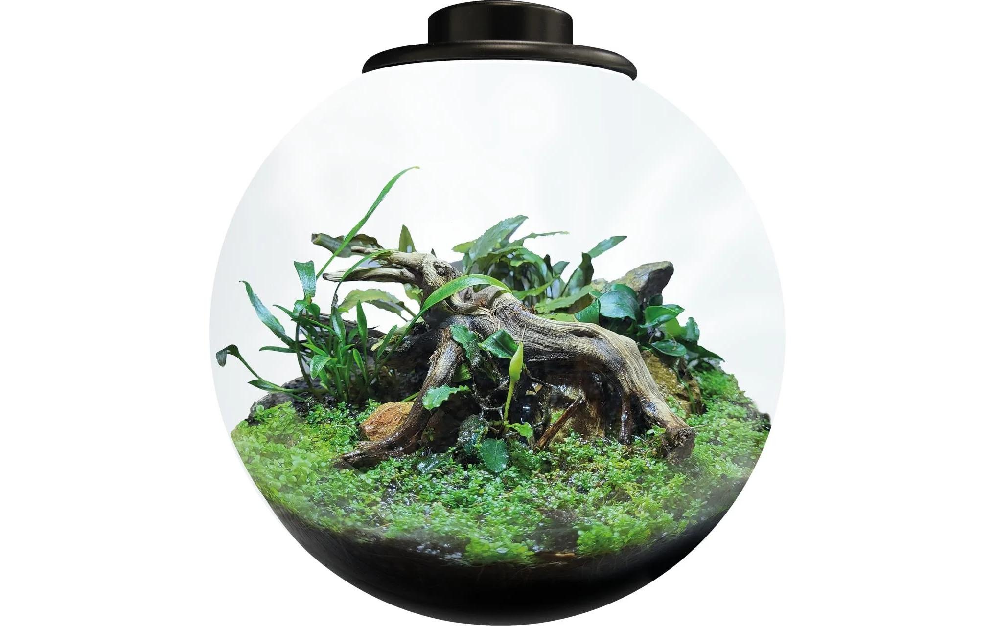 Image of LED Dekoobjekt "Bio Art Pflanzengefäss Bowl 225"