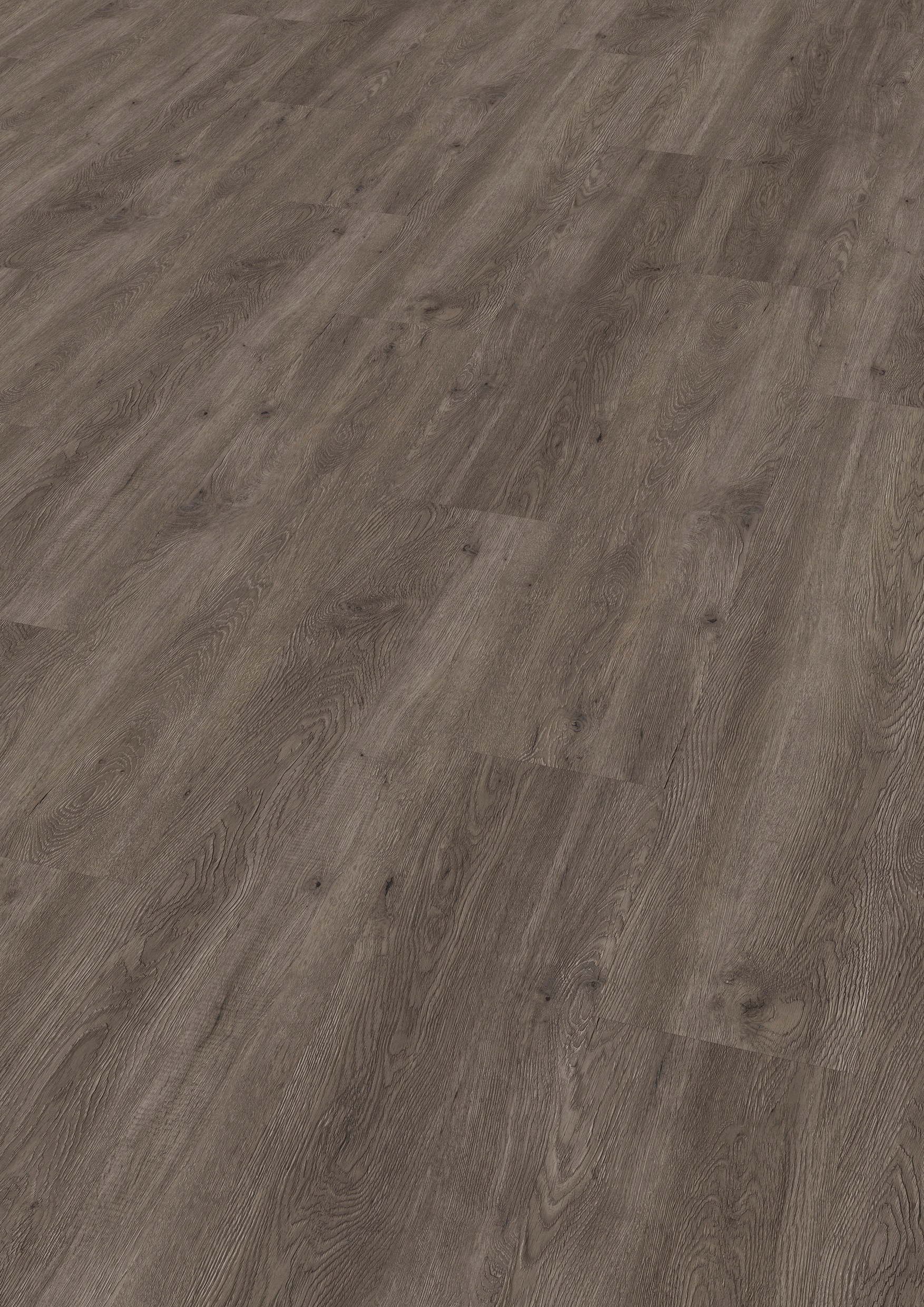 Image of ter Hürne Vinylboden »Eiche Canberra«, 121,3 x 22,2 x 0,6 cm, 1,62 m² bei Ackermann Versand Schweiz