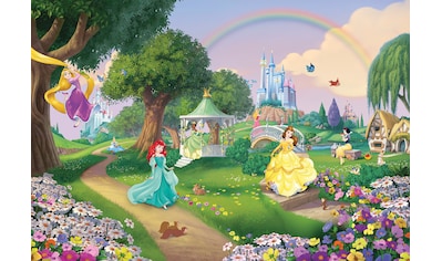 Fototapete »Princess Rainbow«, 368x254 cm (Breite x Höhe)